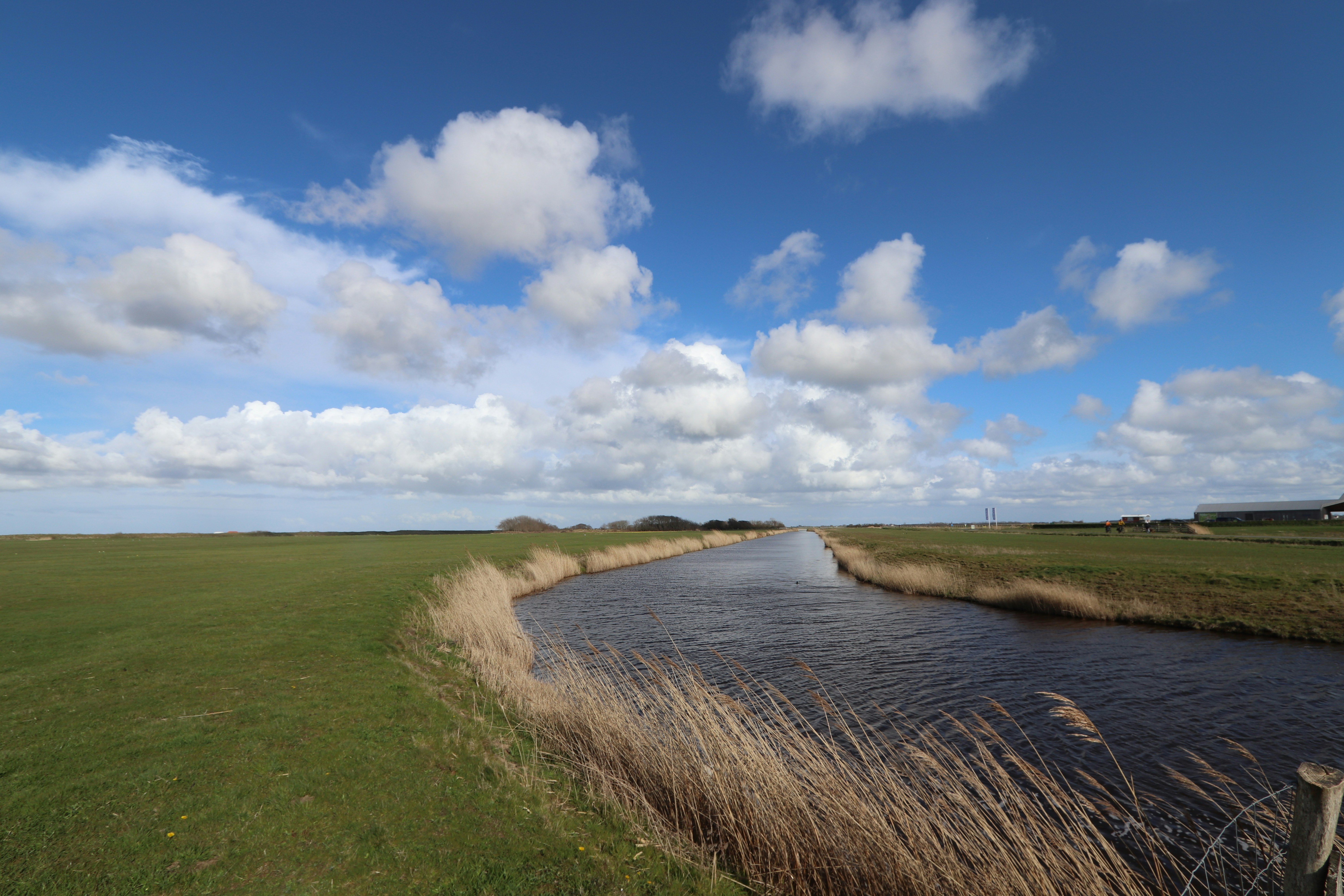 A river running through a lush green field