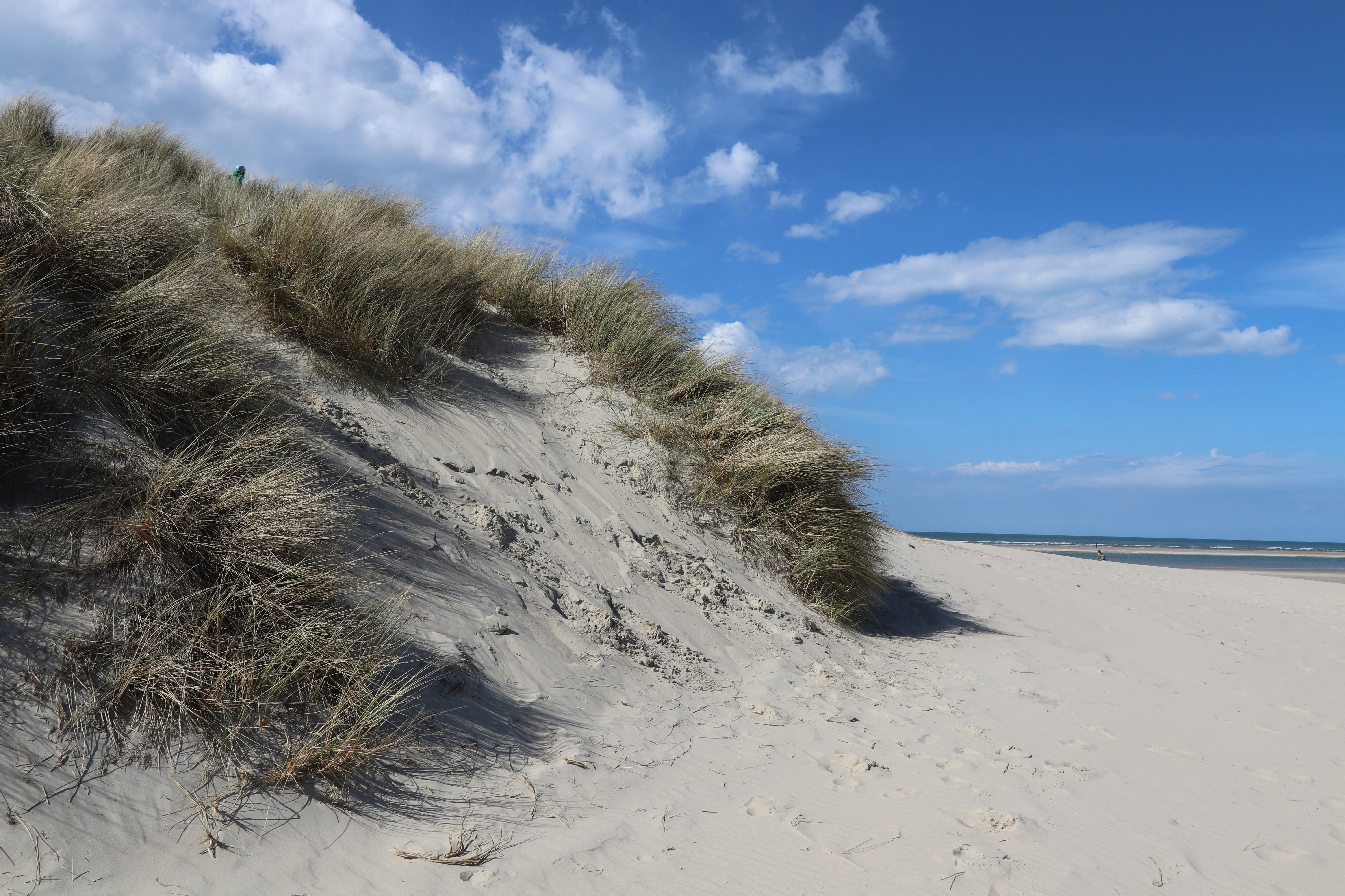 Photo by justmejuliee