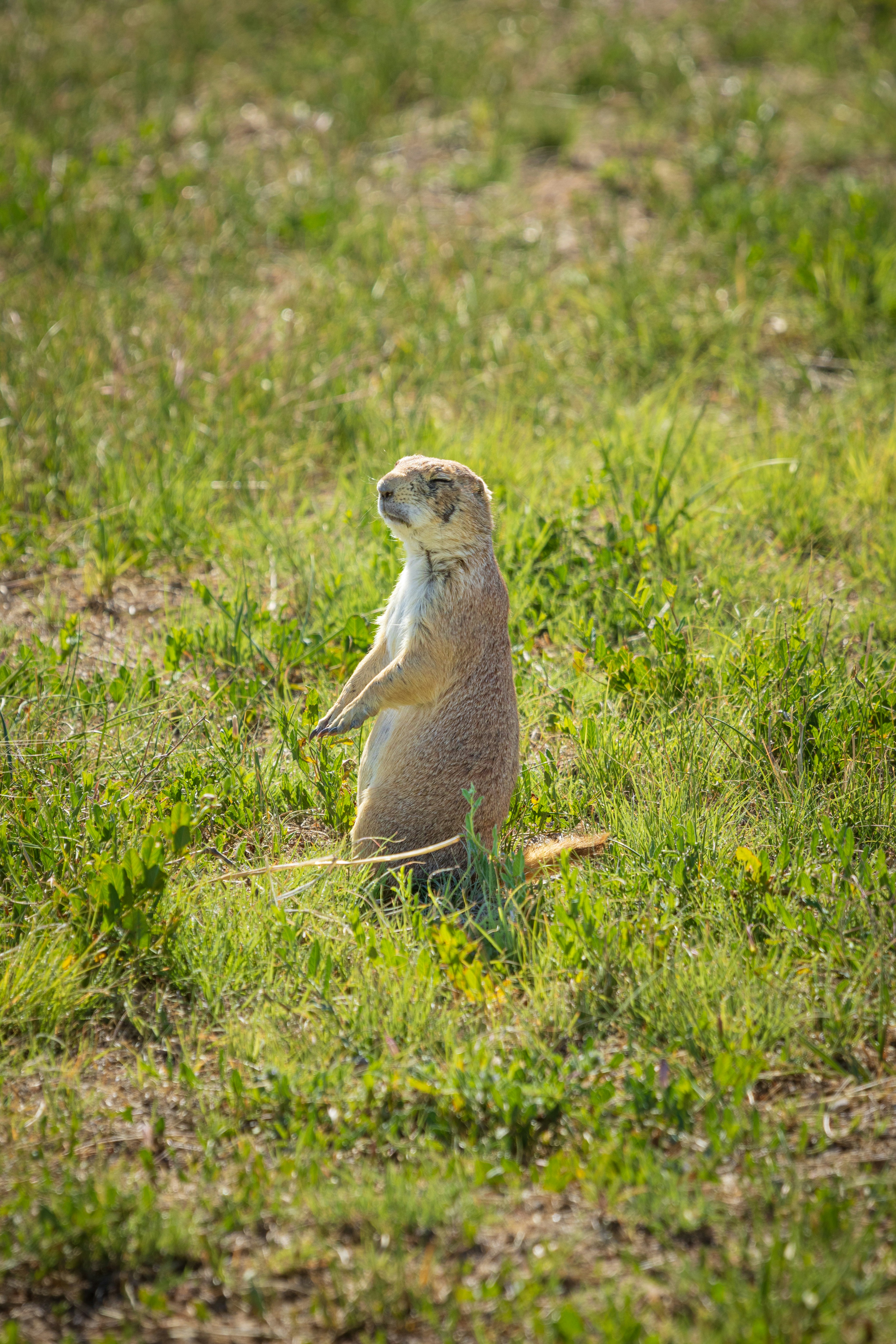 Photo by brandonstoll