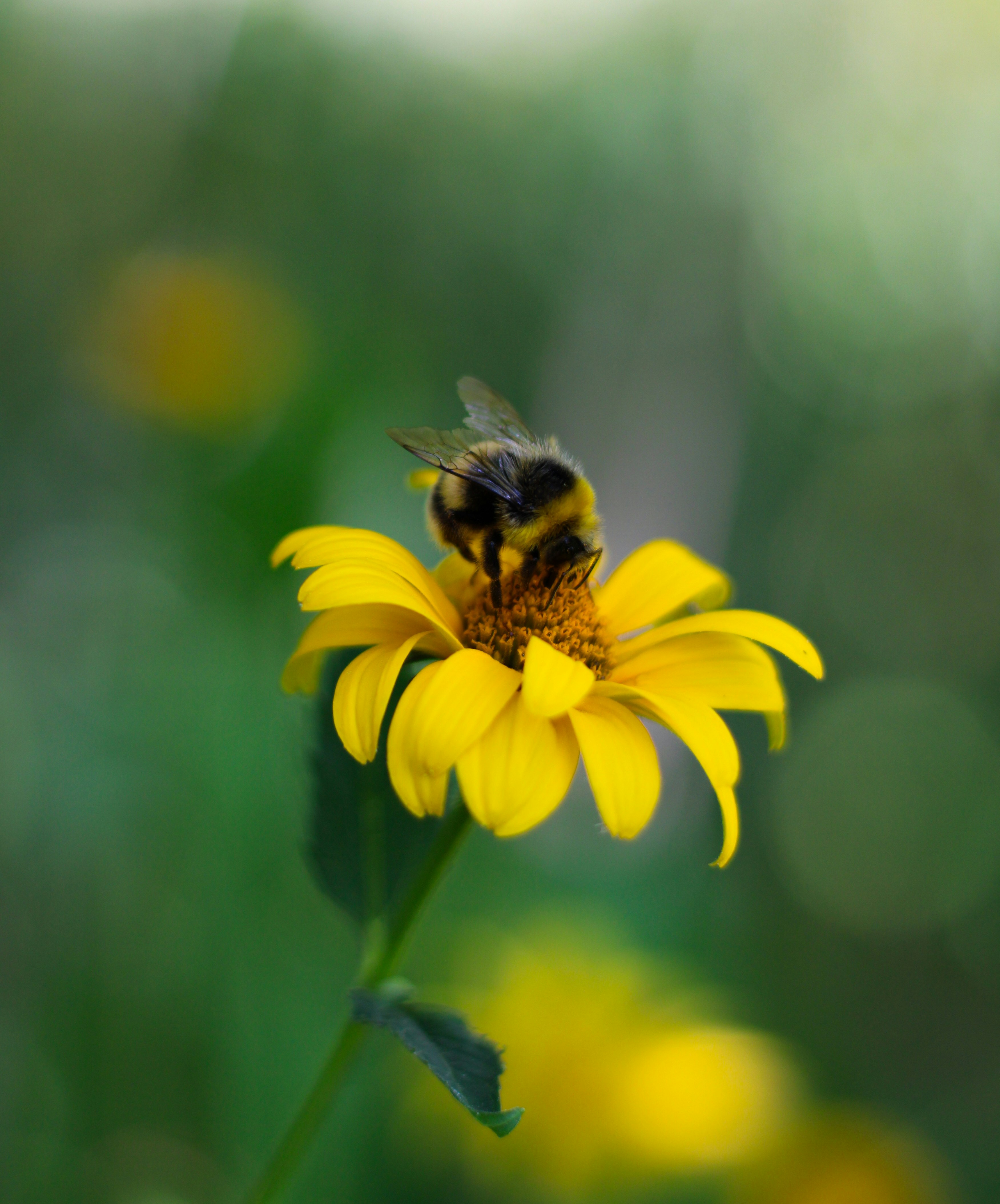 Photo by that_one_ukrainian