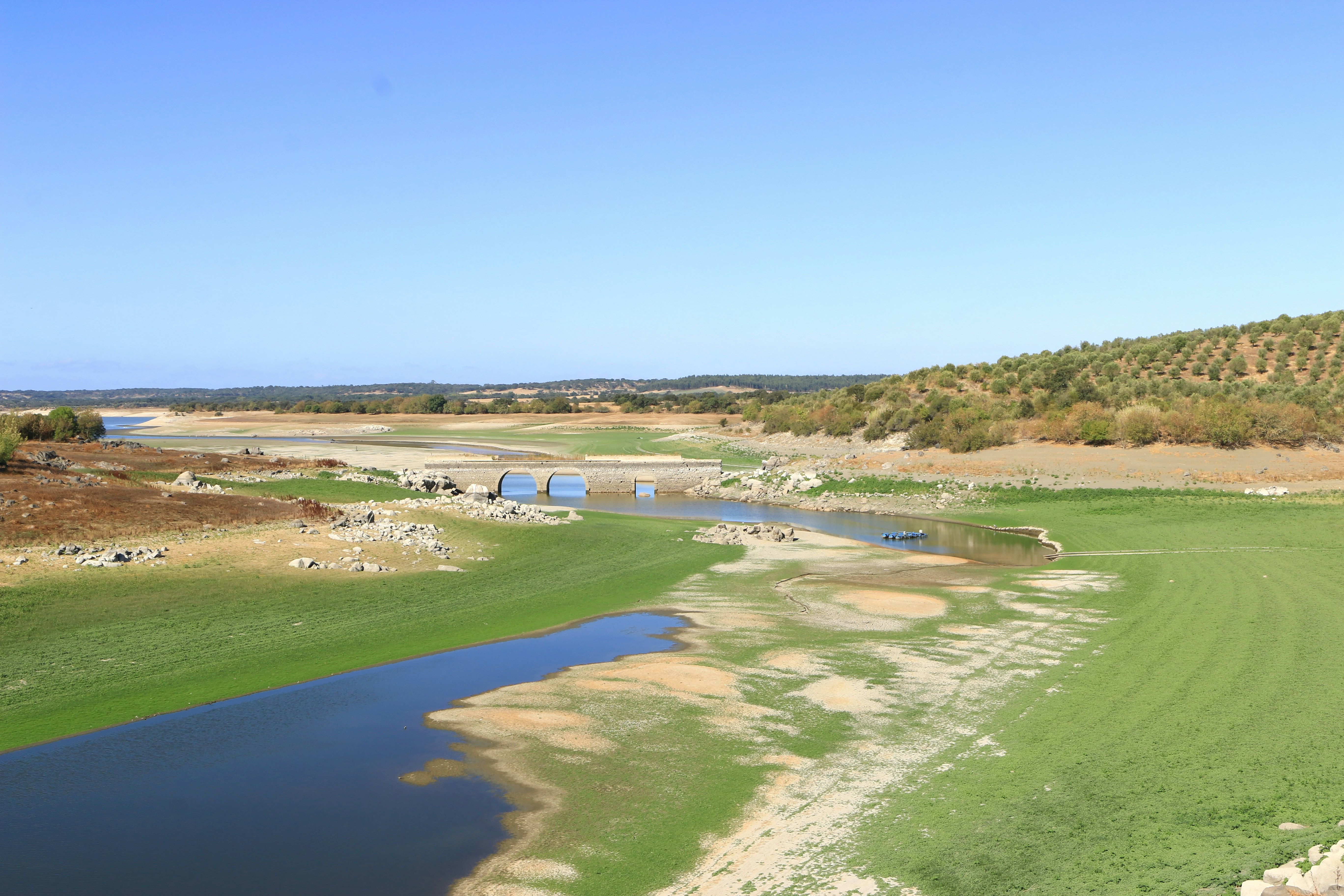 Photo by serranonline