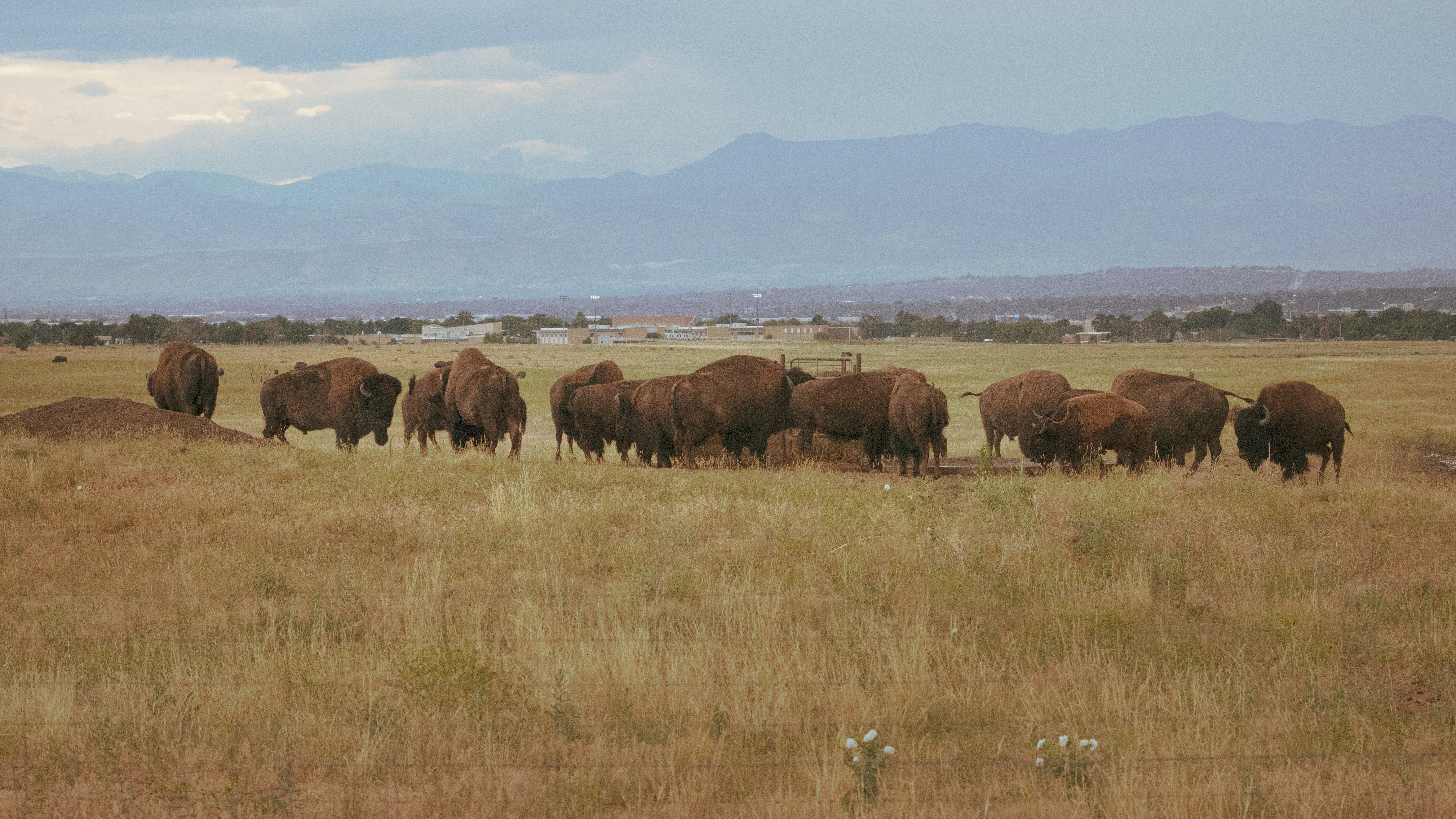 Photo by brandonstoll