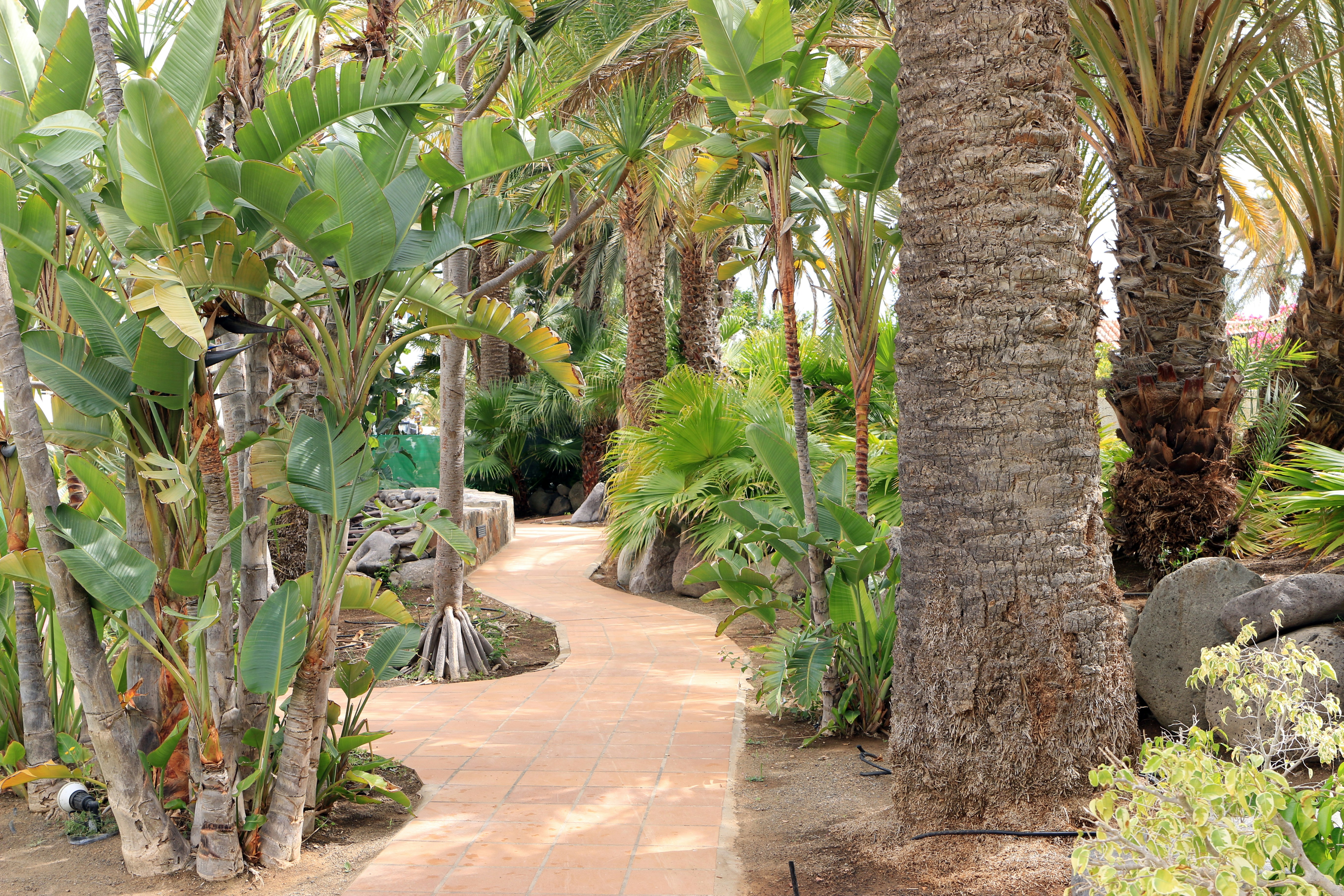 Photo by serranonline