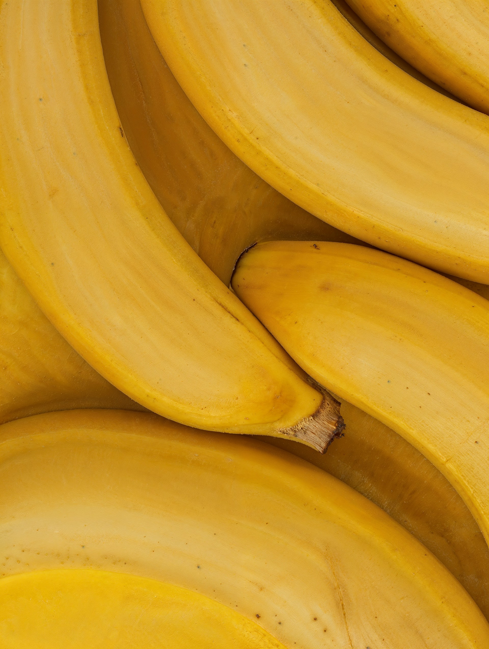 A close up of a bunch of bananas