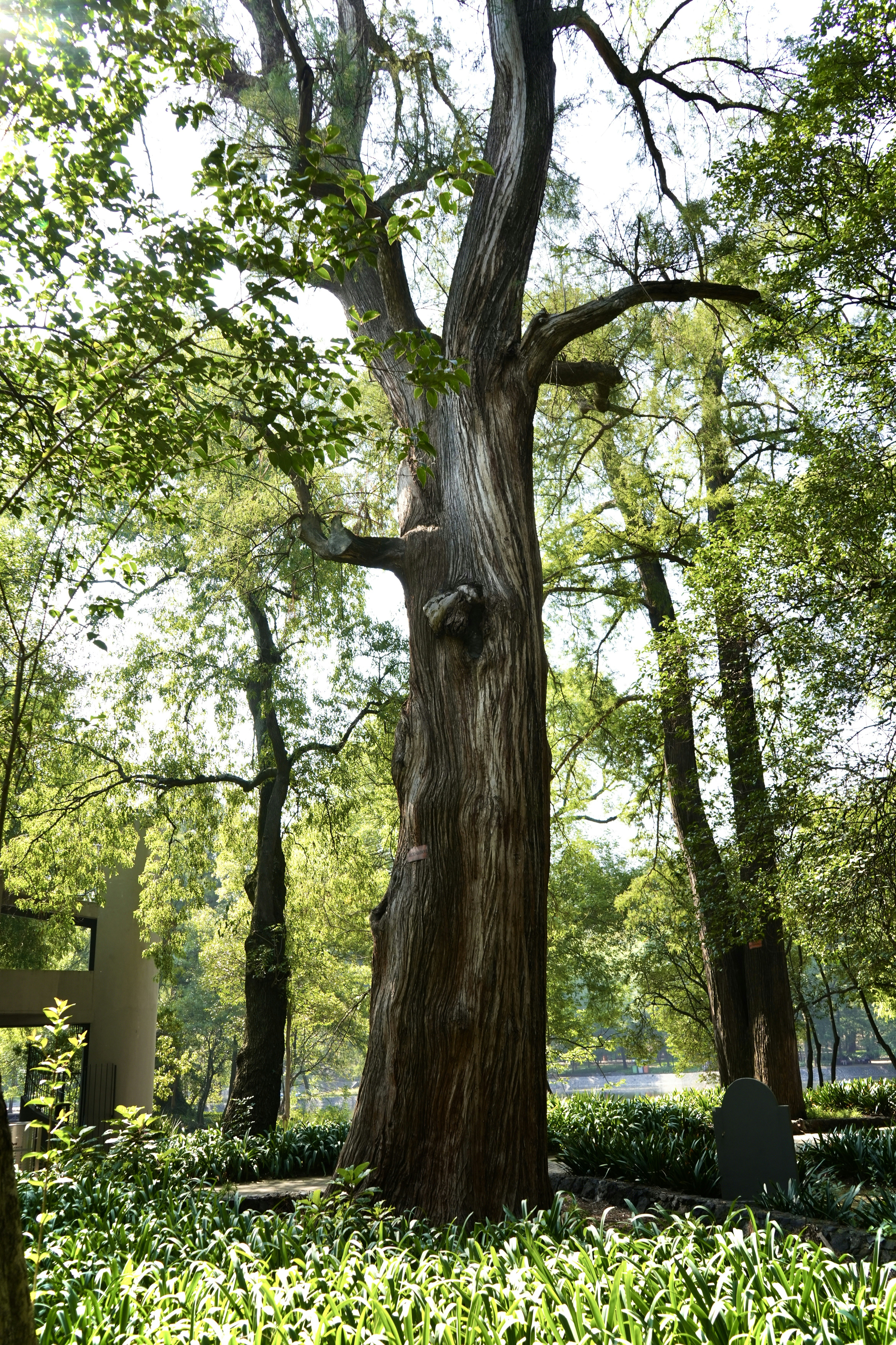 Photo by moises_fattel