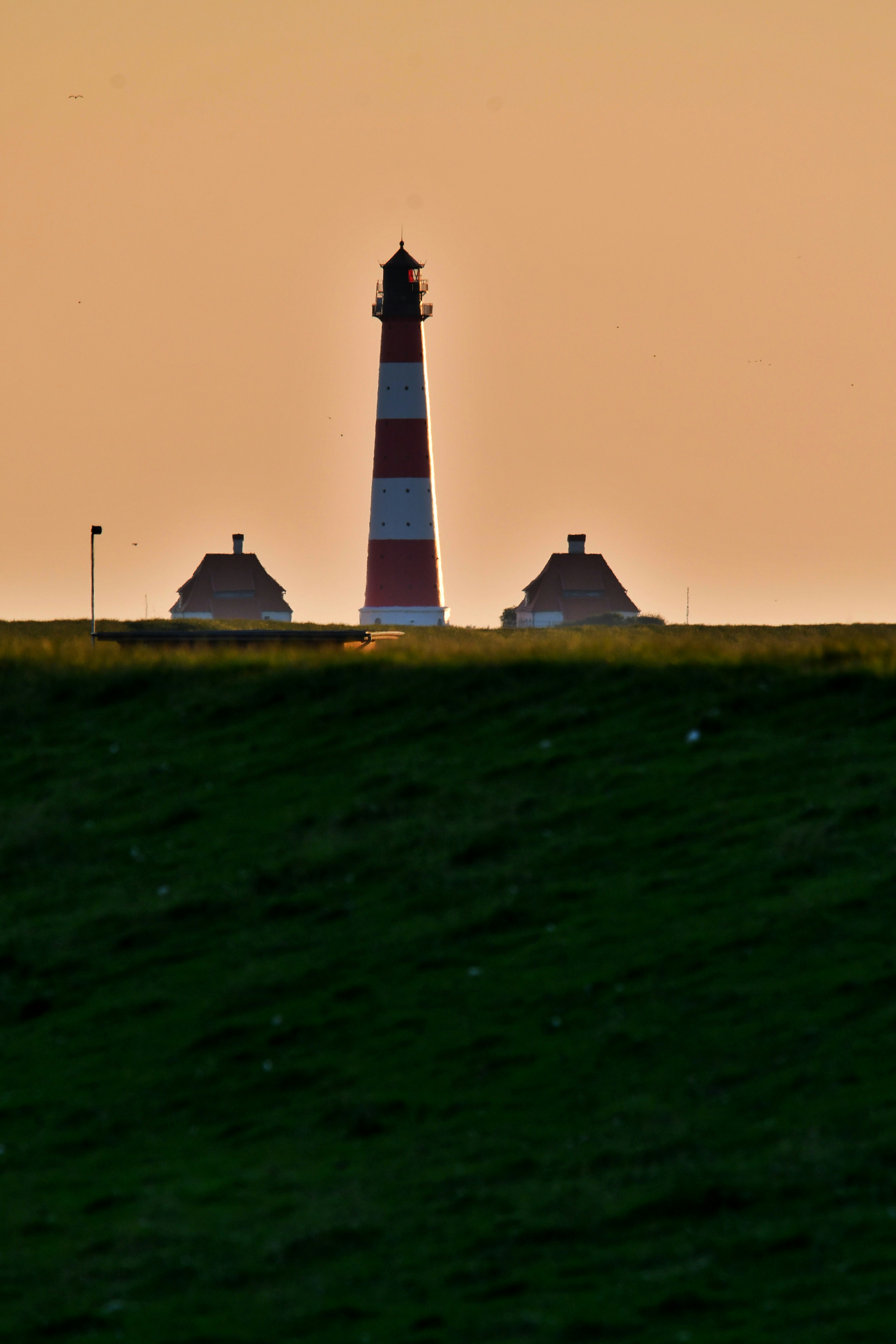 Photo by pedrino5_official