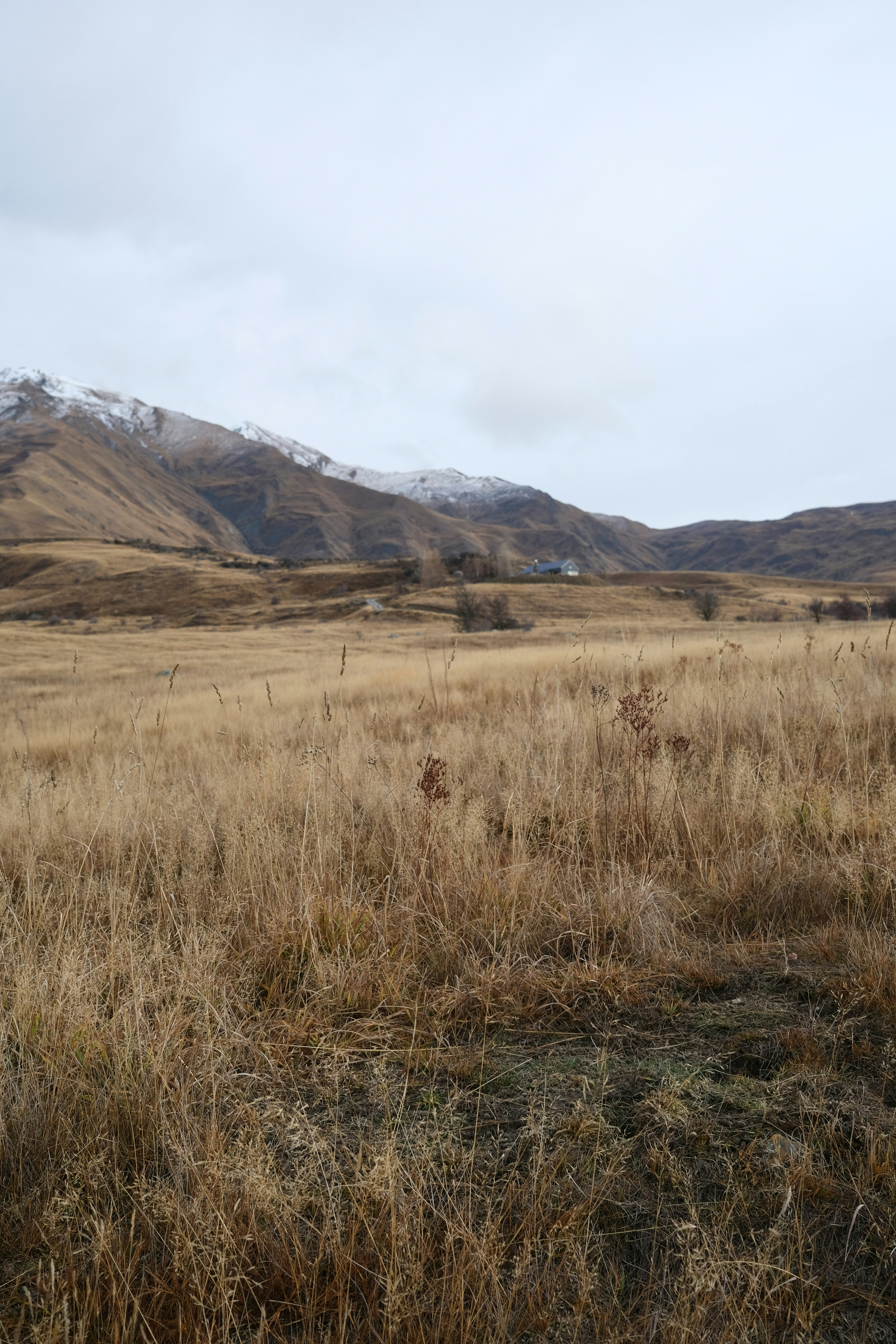 Cardrona Alpine Resort
