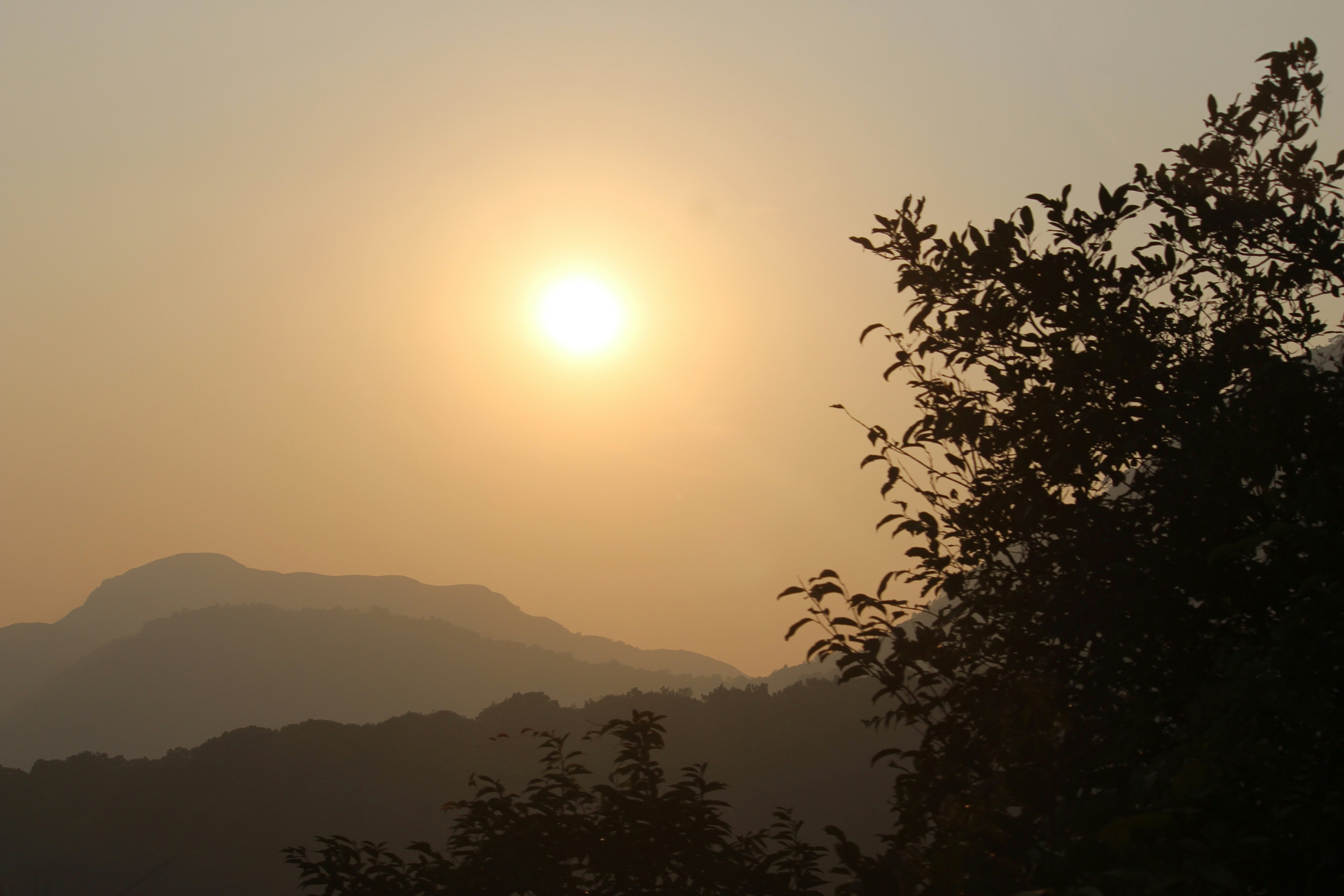 Photo by shridhardixit