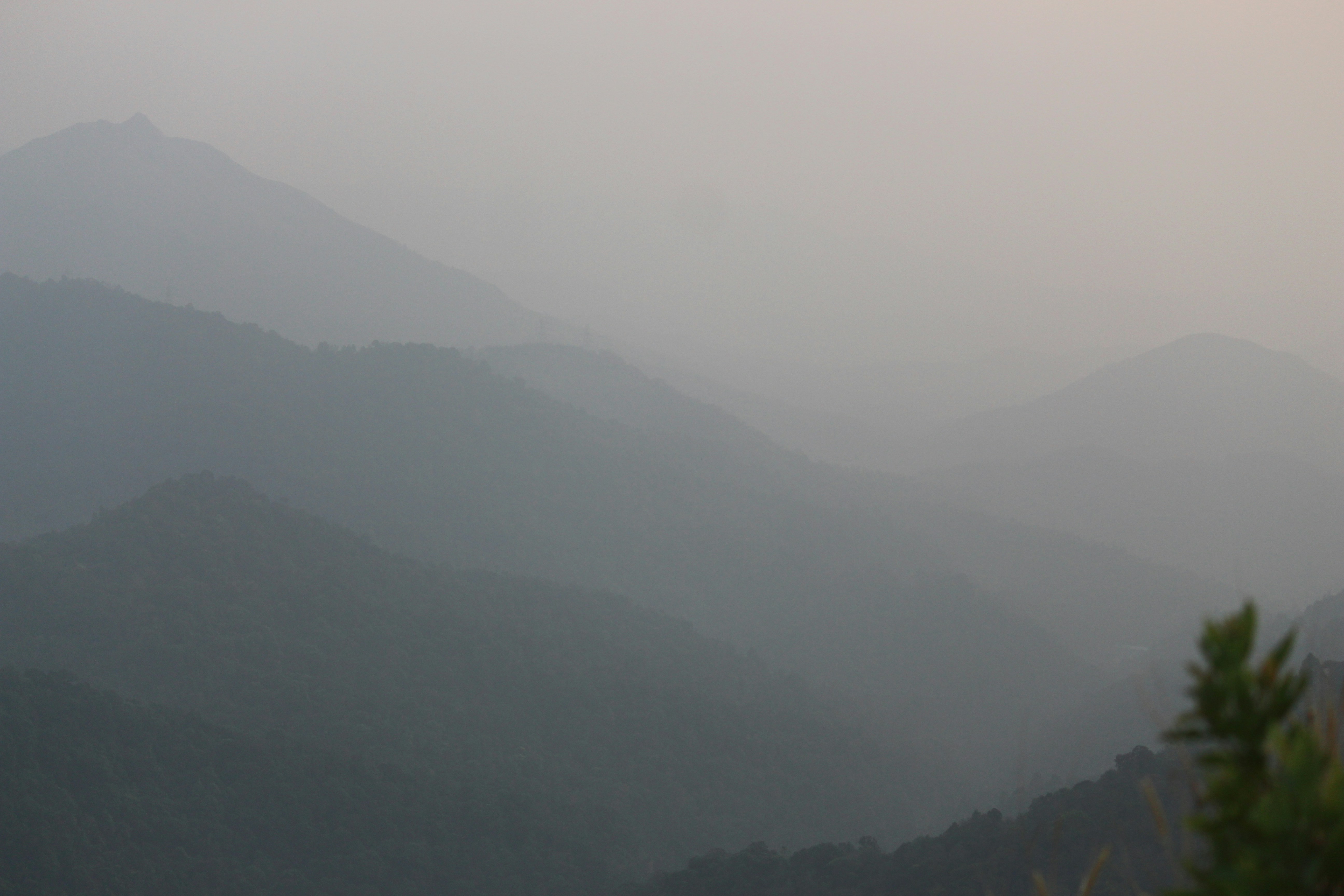 Photo by shridhardixit