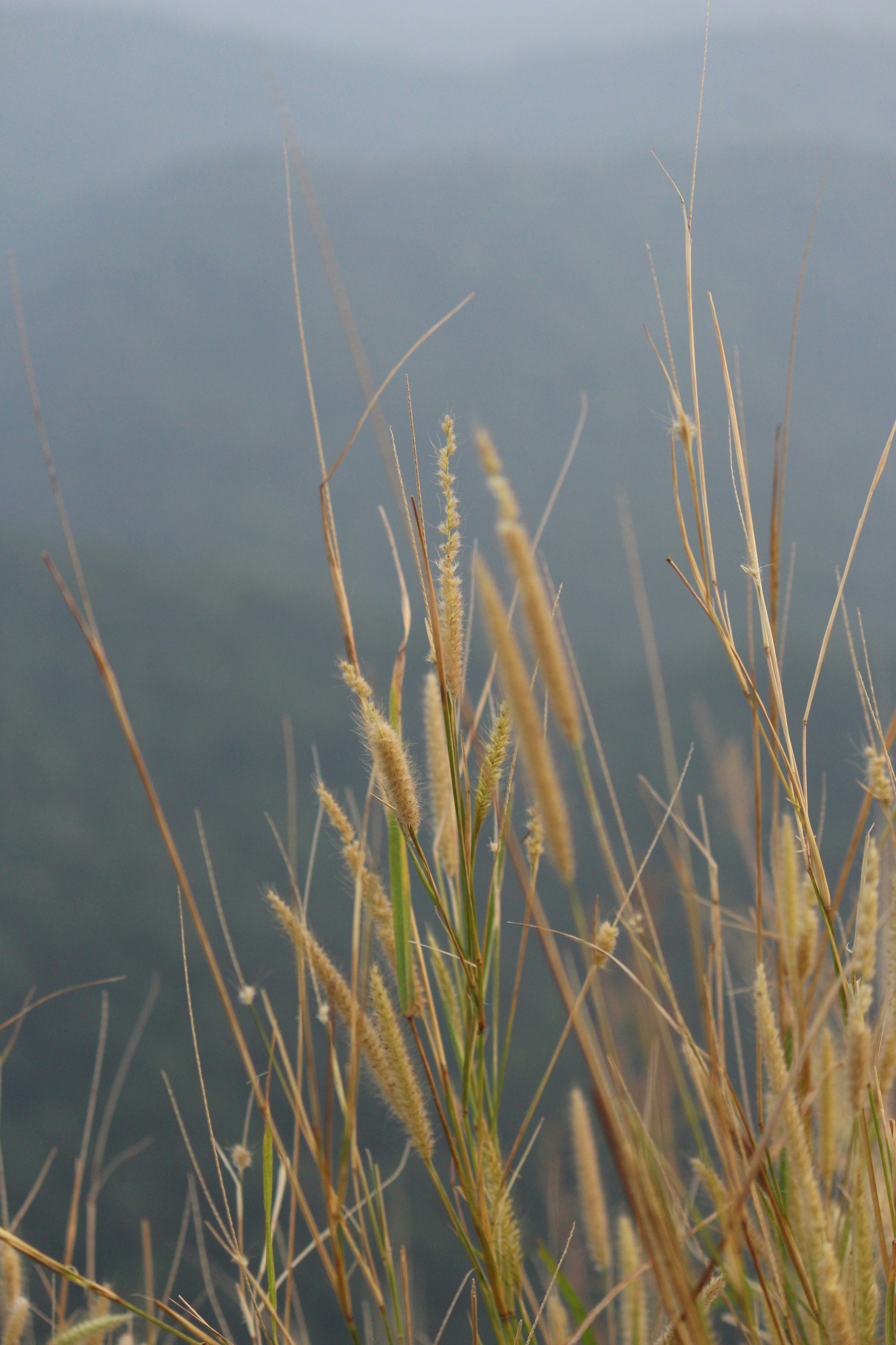 Photo by shridhardixit