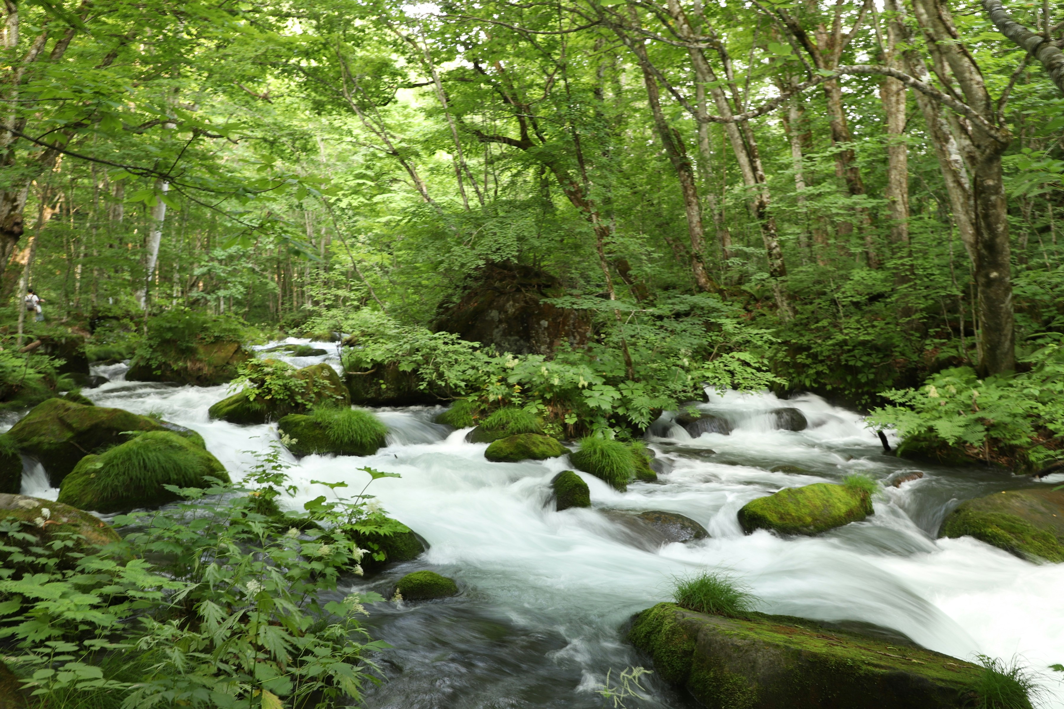 Photo by small_robert