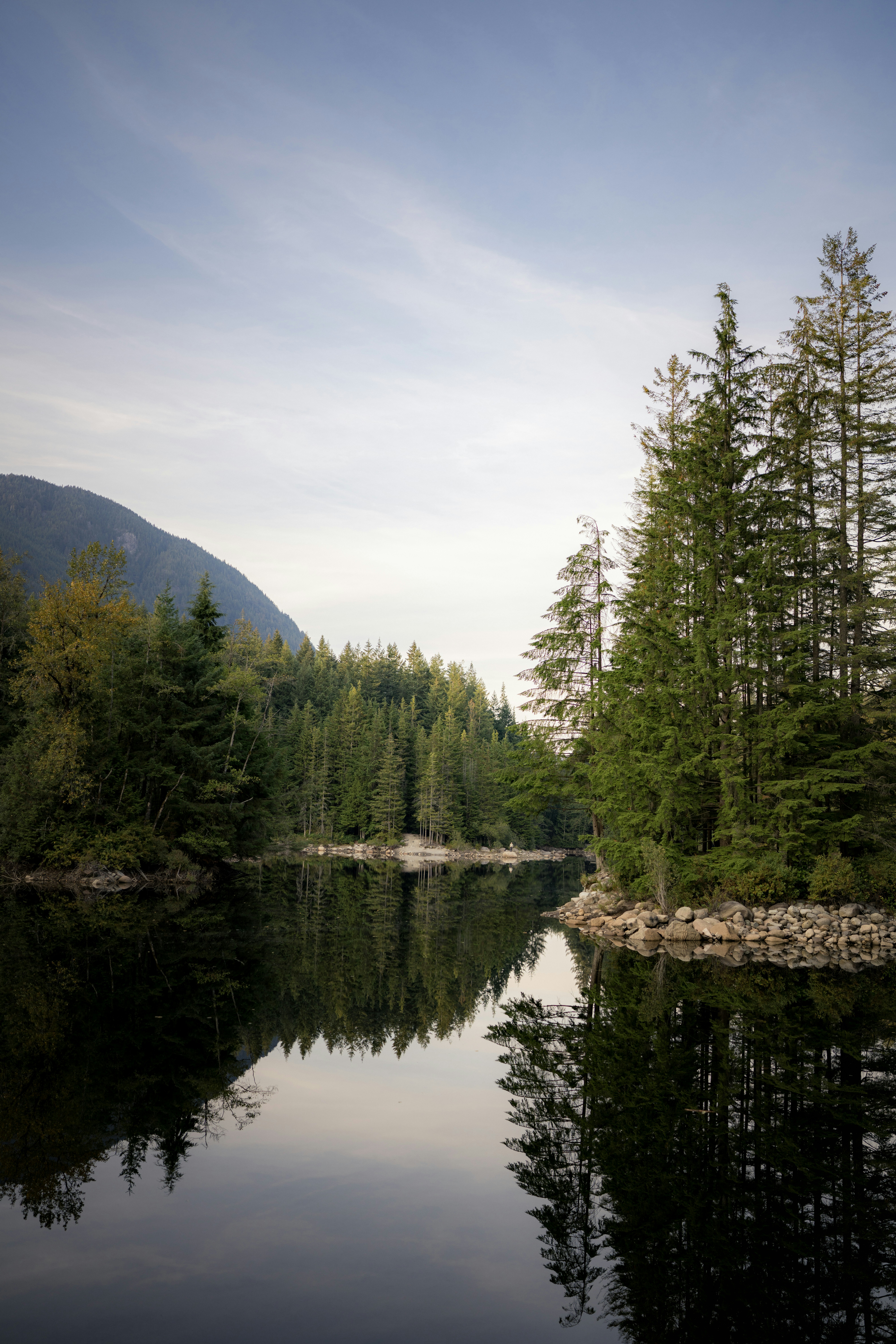 Photo by arianmontazeri