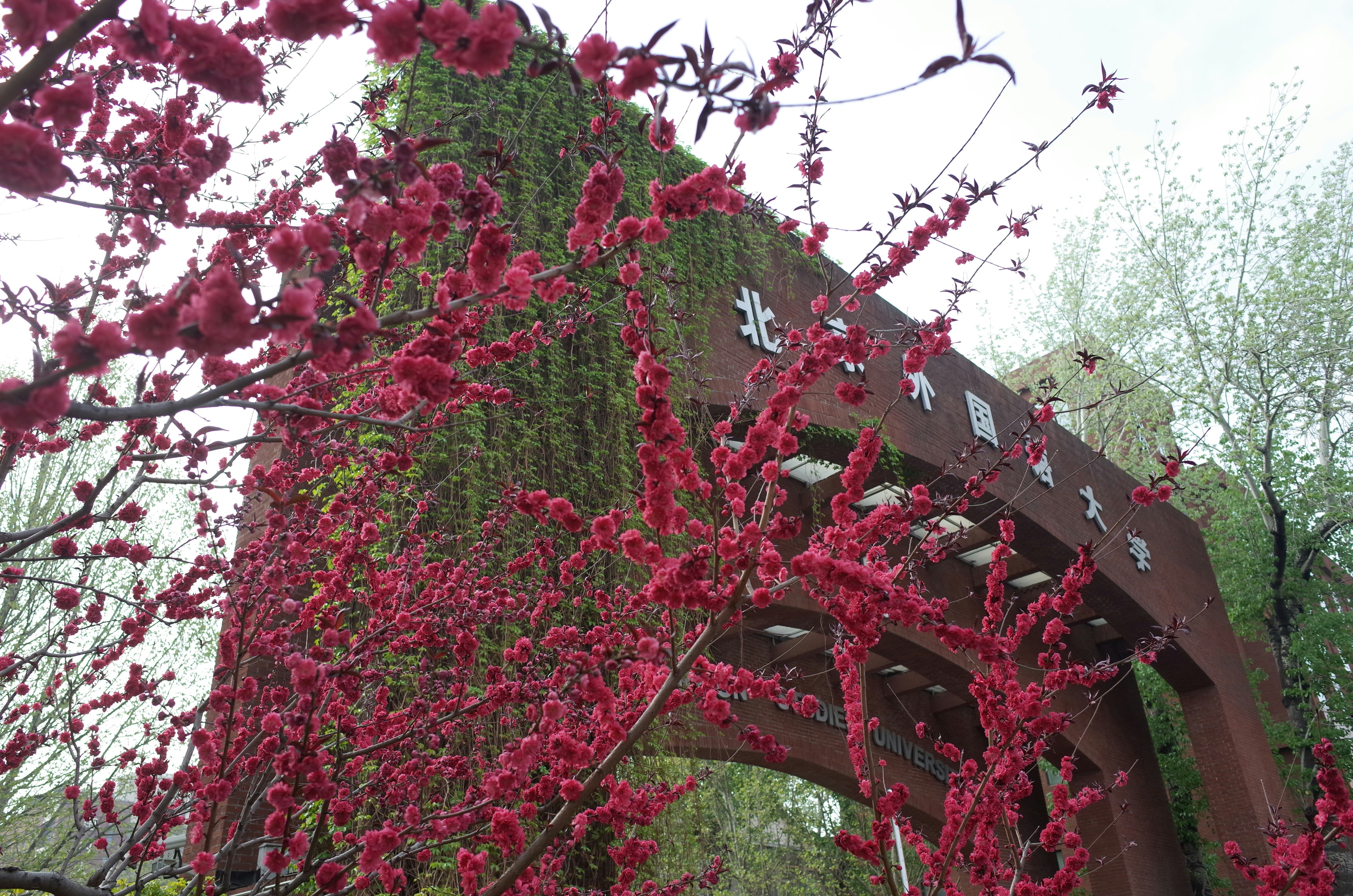Cherry Tree Park