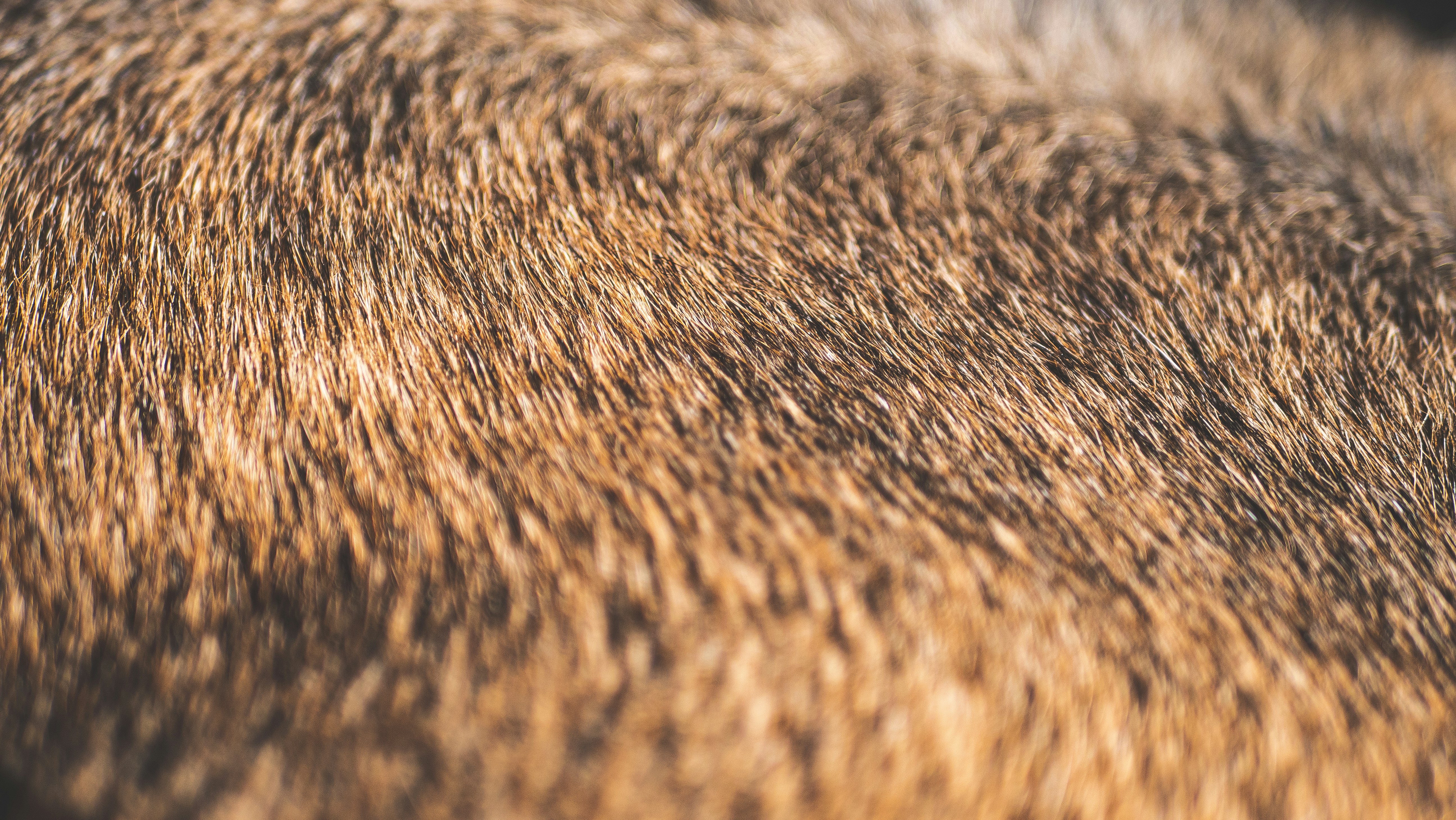 퍼 텍스처 디테일