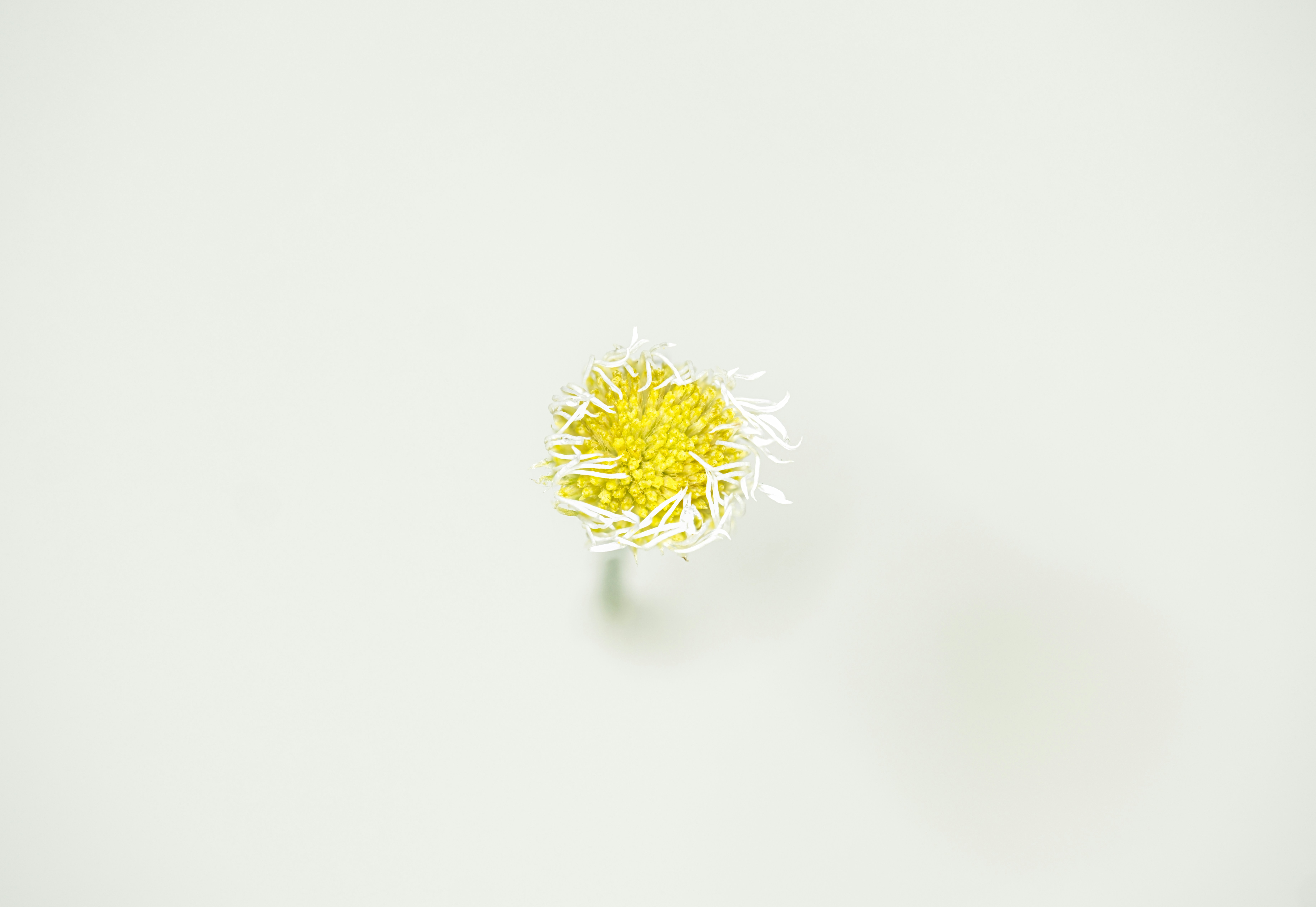 Photo by alexandredaoust