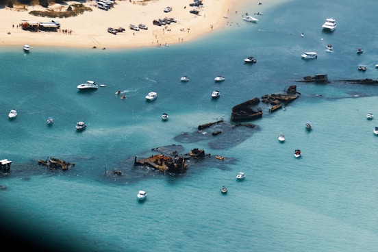 moreton island: Best Day Trips from Brisbane