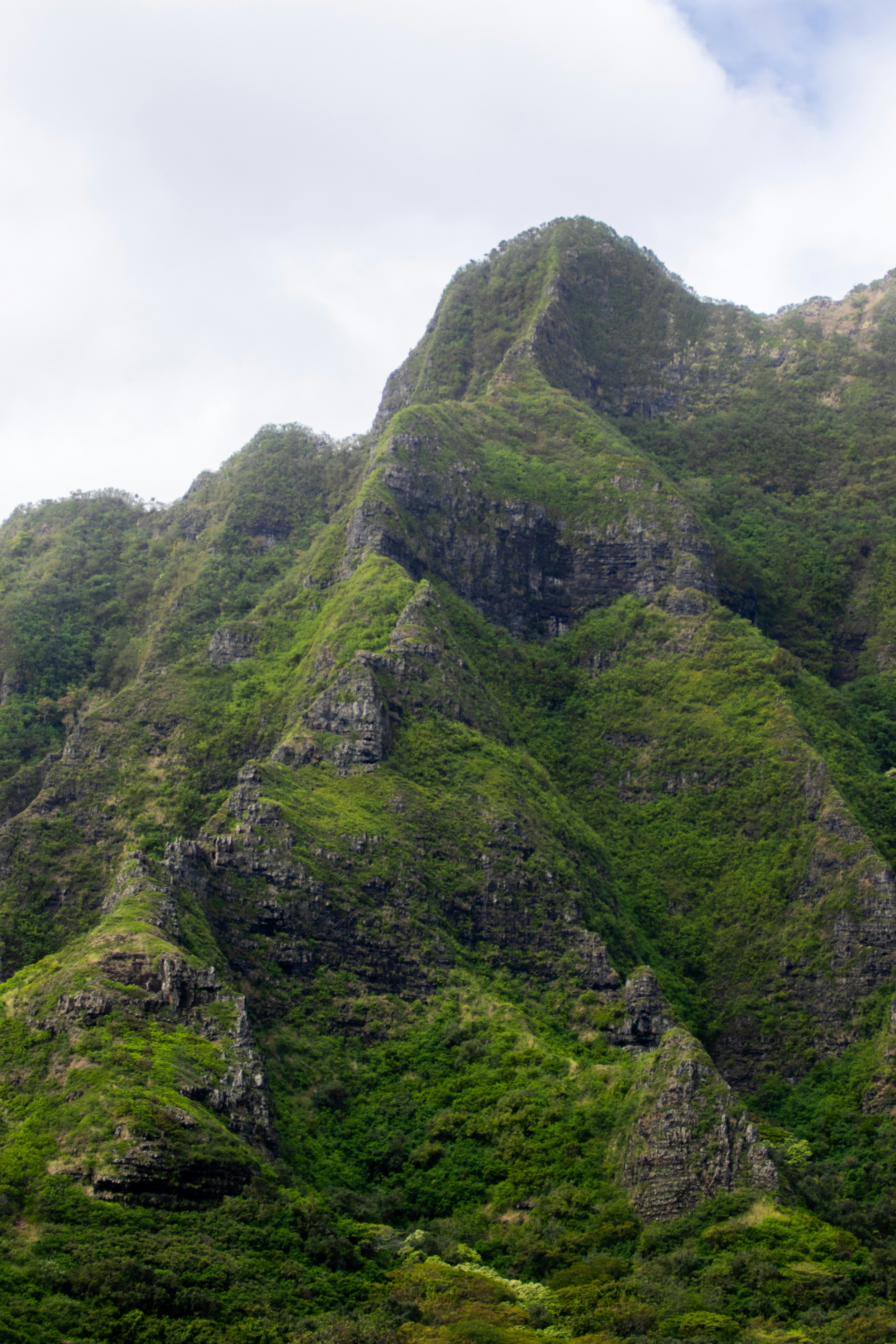 Photo by colt10jordan