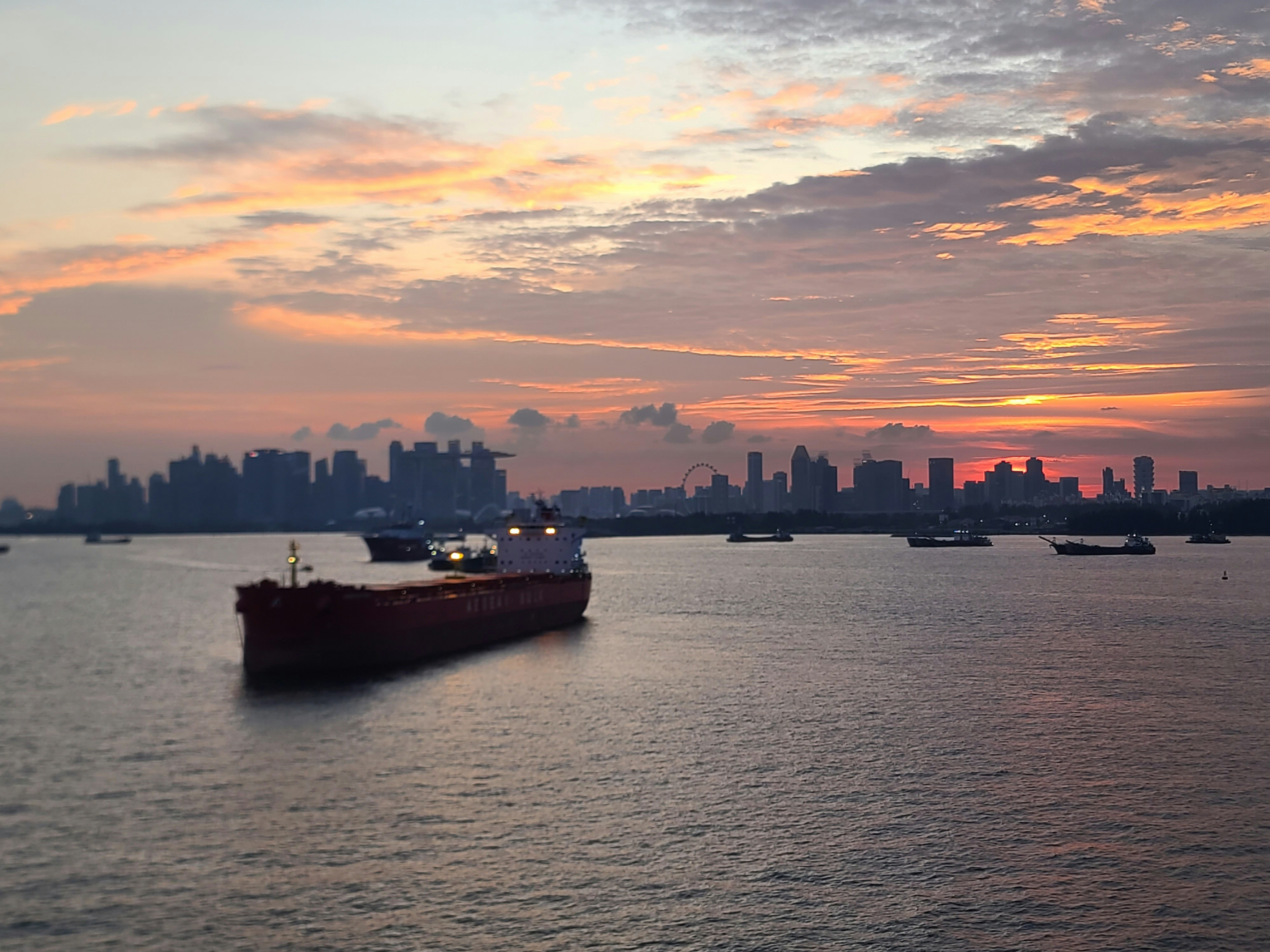 出口商资质确认