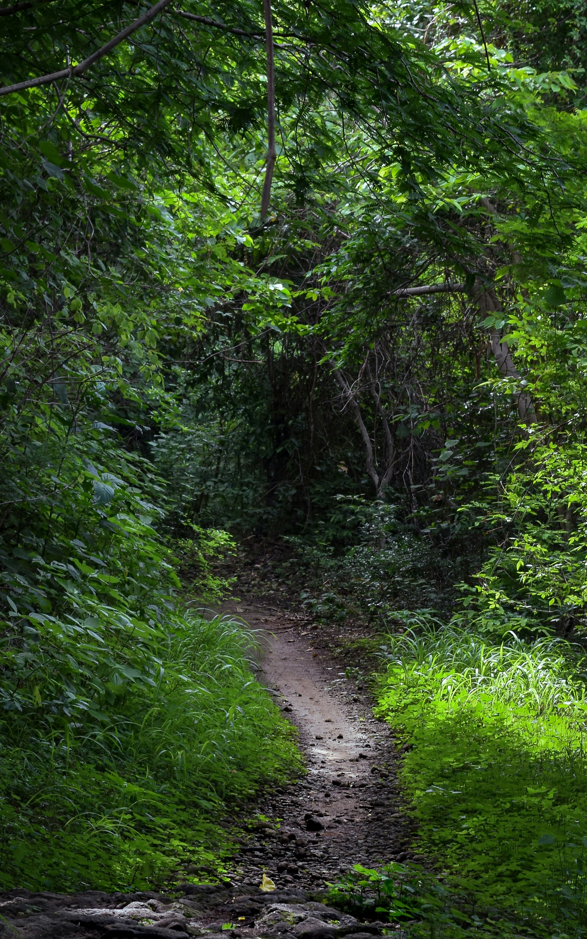 Photo by mitchbphotography22