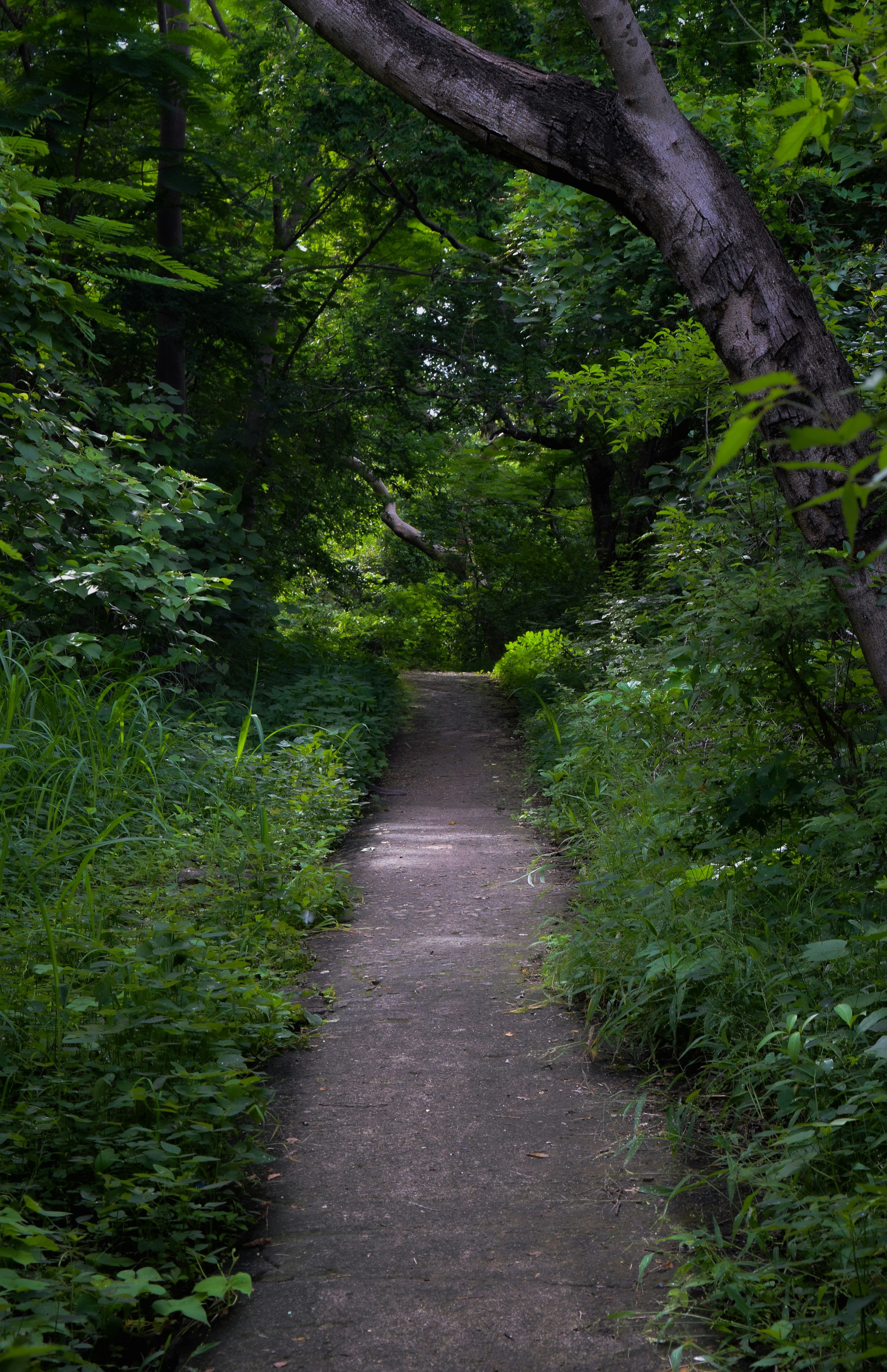 Photo by mitchbphotography22