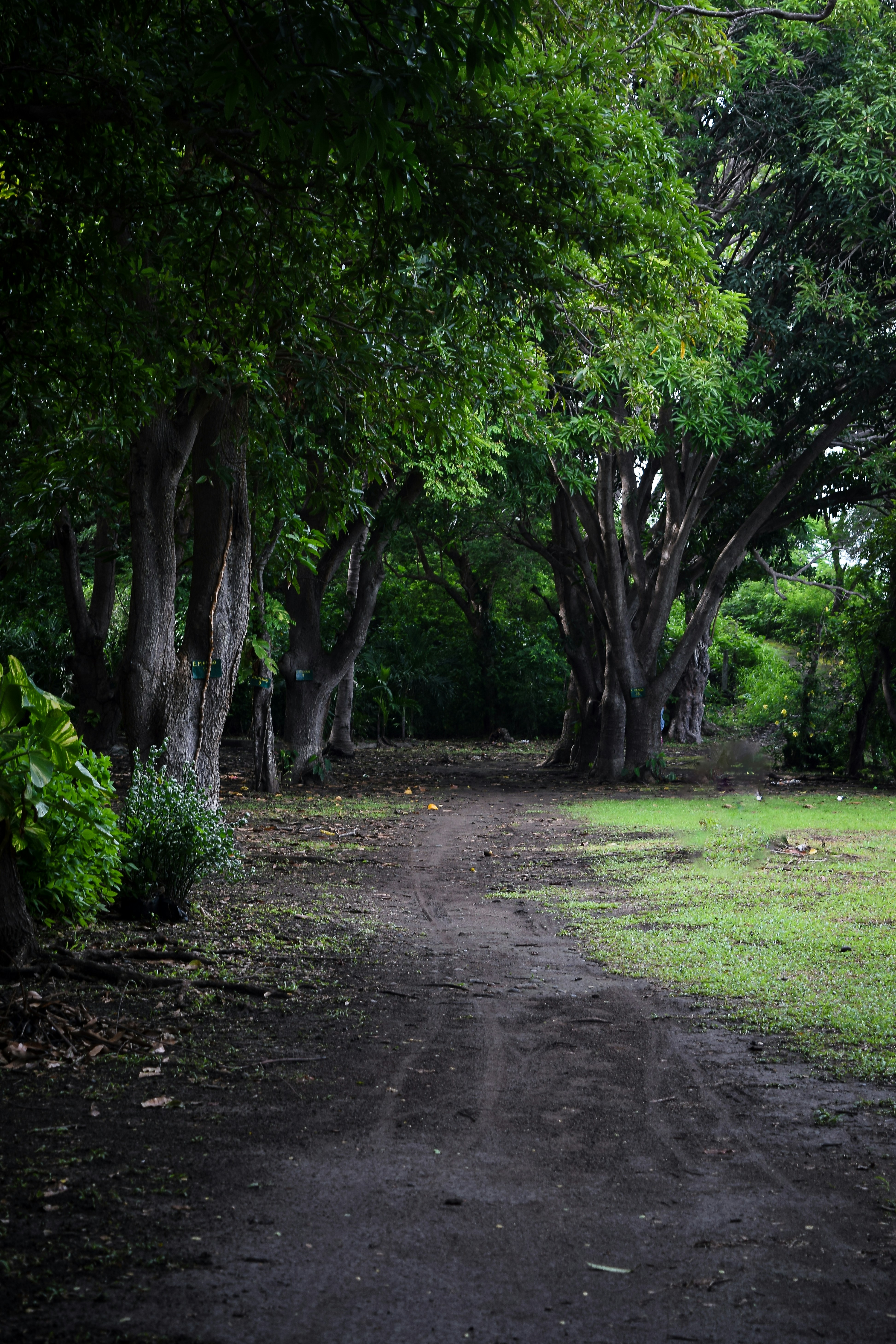 Photo by mitchbphotography22