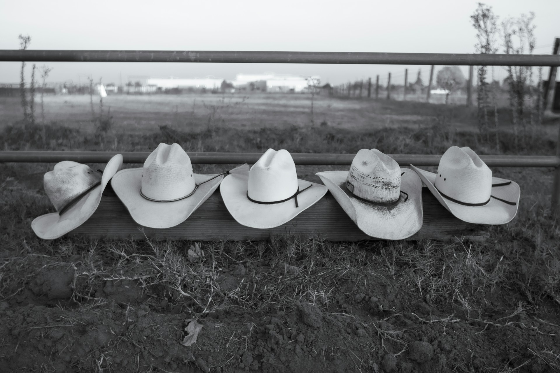 A row of cowboy hats sitting on top of a fence