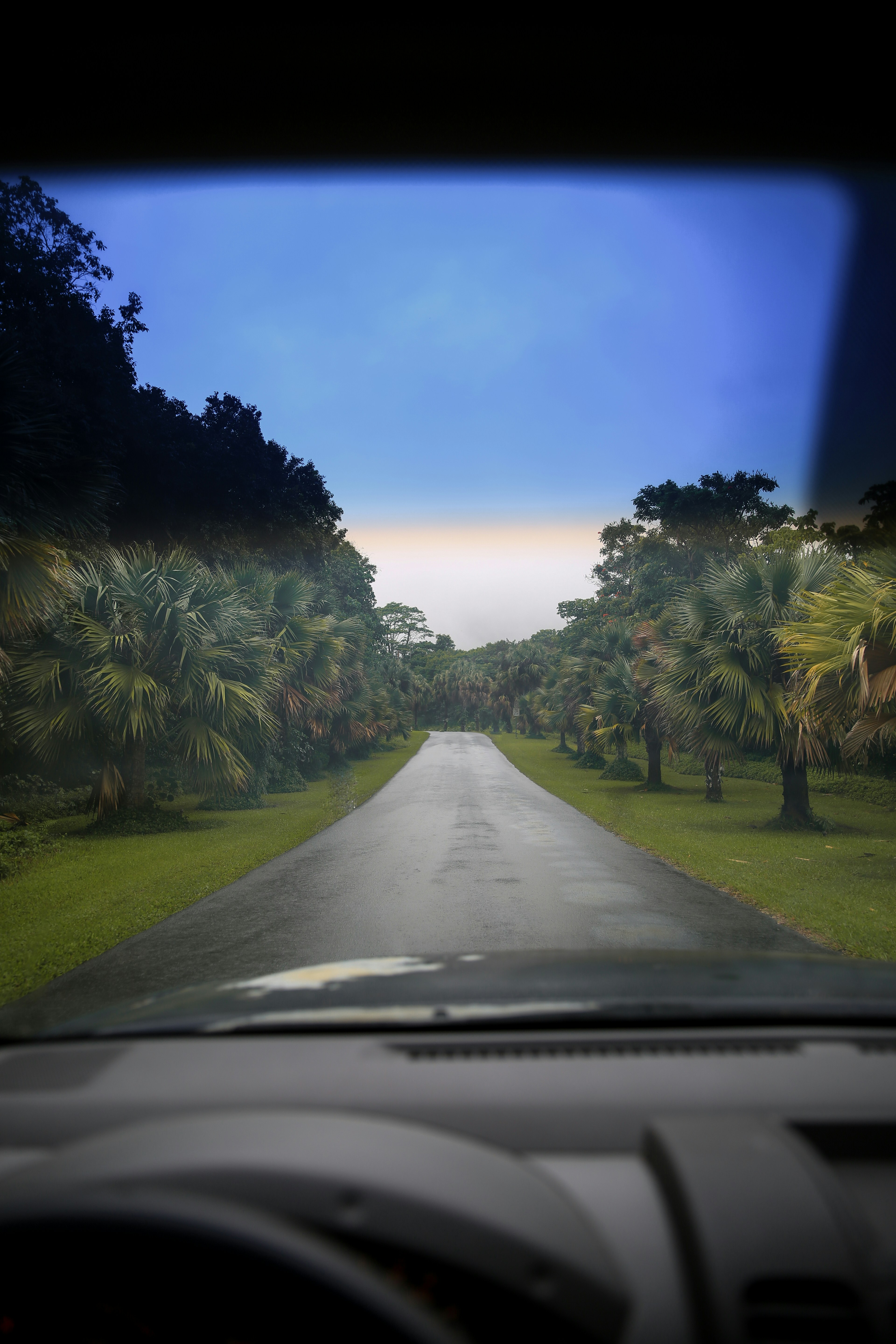 Blick auf eine Straße aus dem Inneren eines Autos