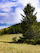 A grassy field with trees and a hill in the background