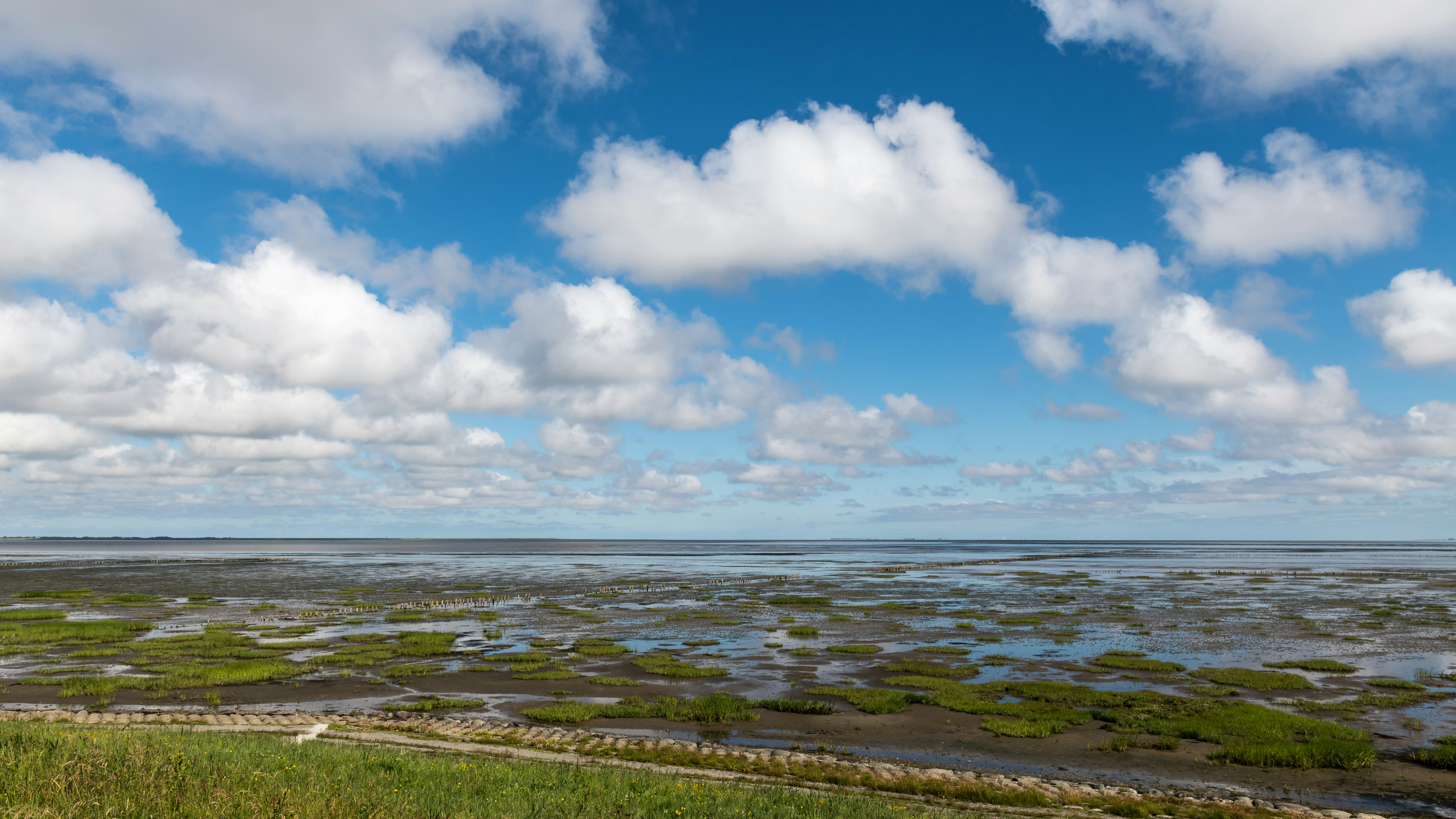 Photo by hamburgmeinefreundin