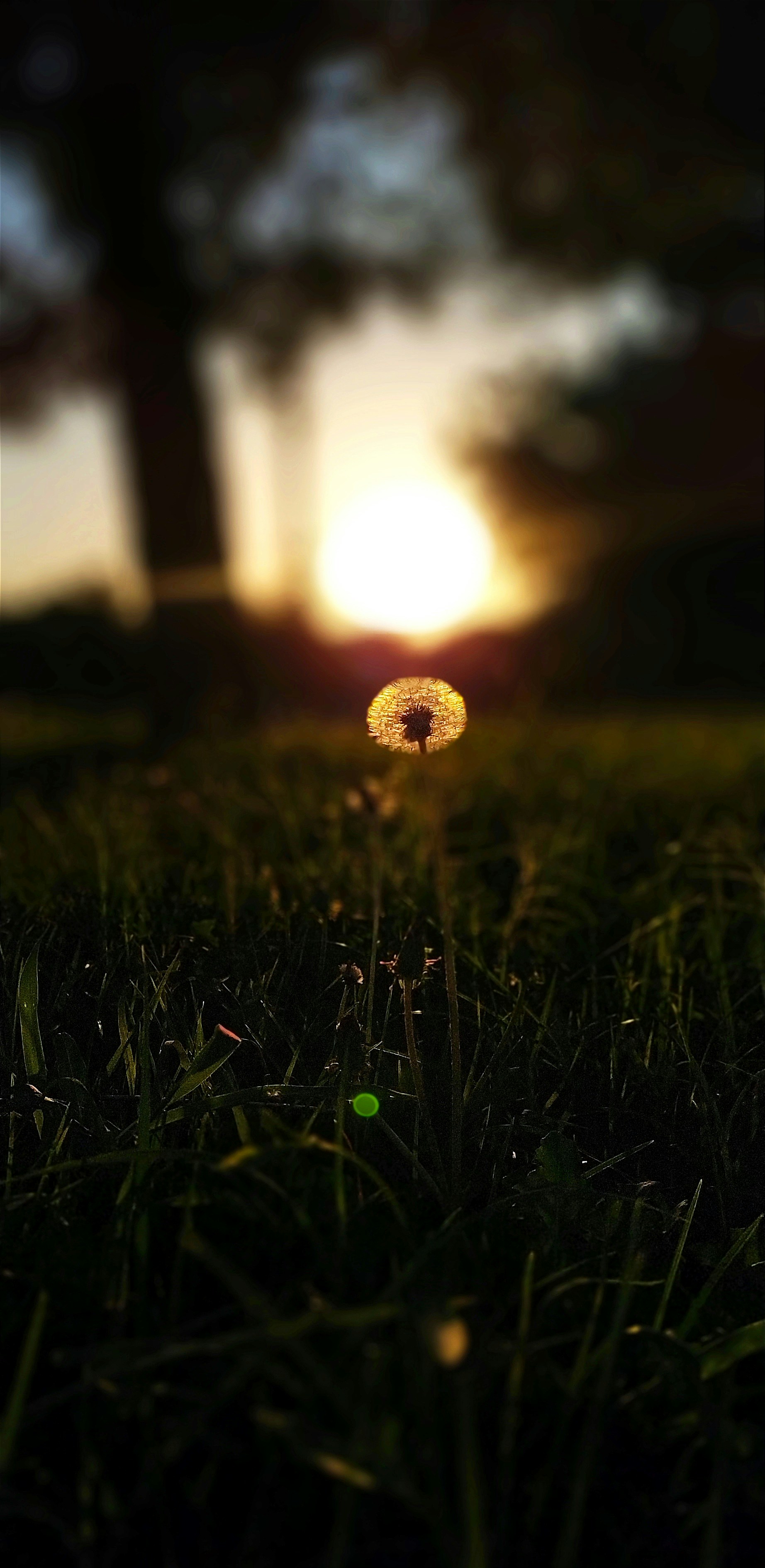 Molly Ruth Astrology's image