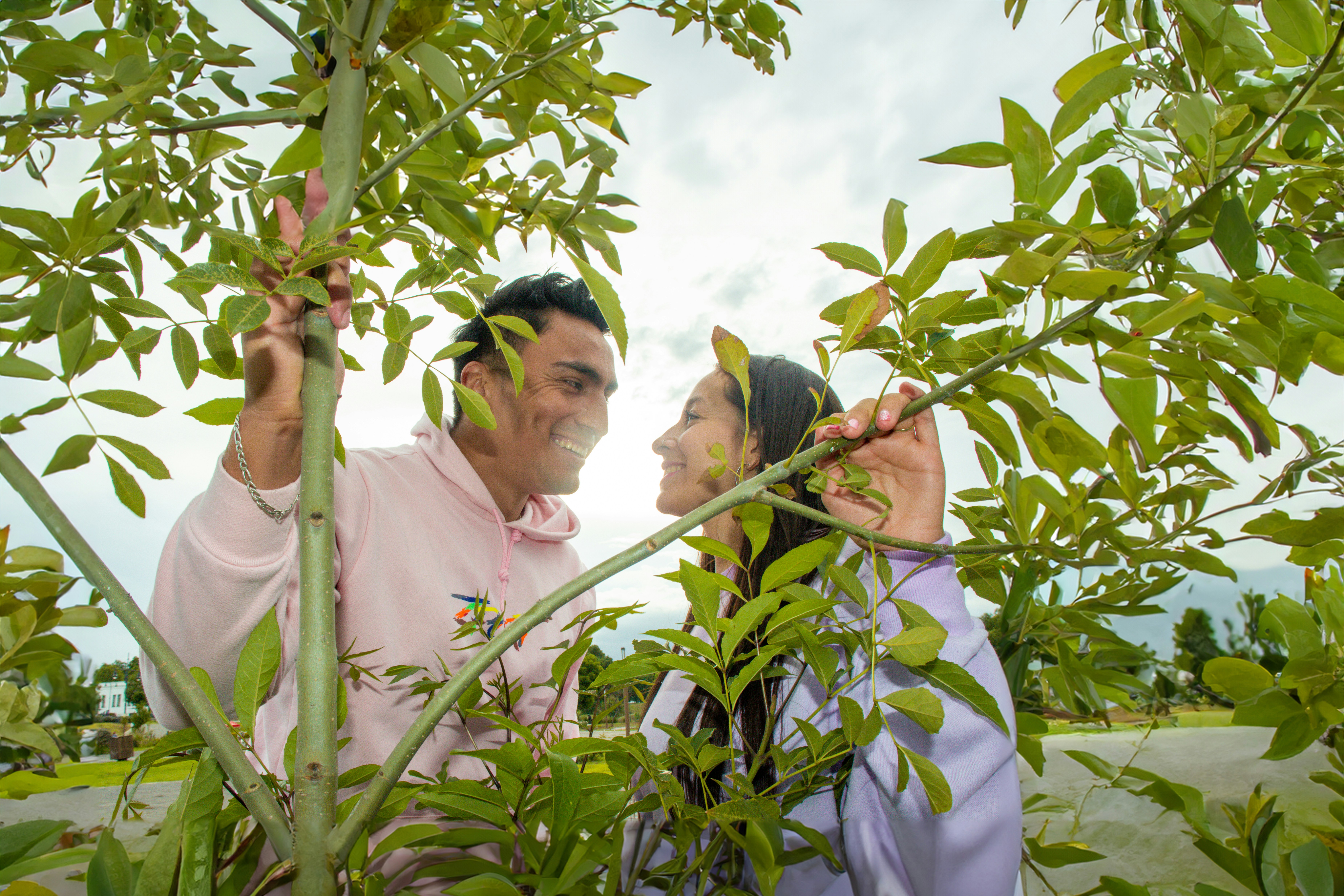 A view of the Recoleta Cemetery