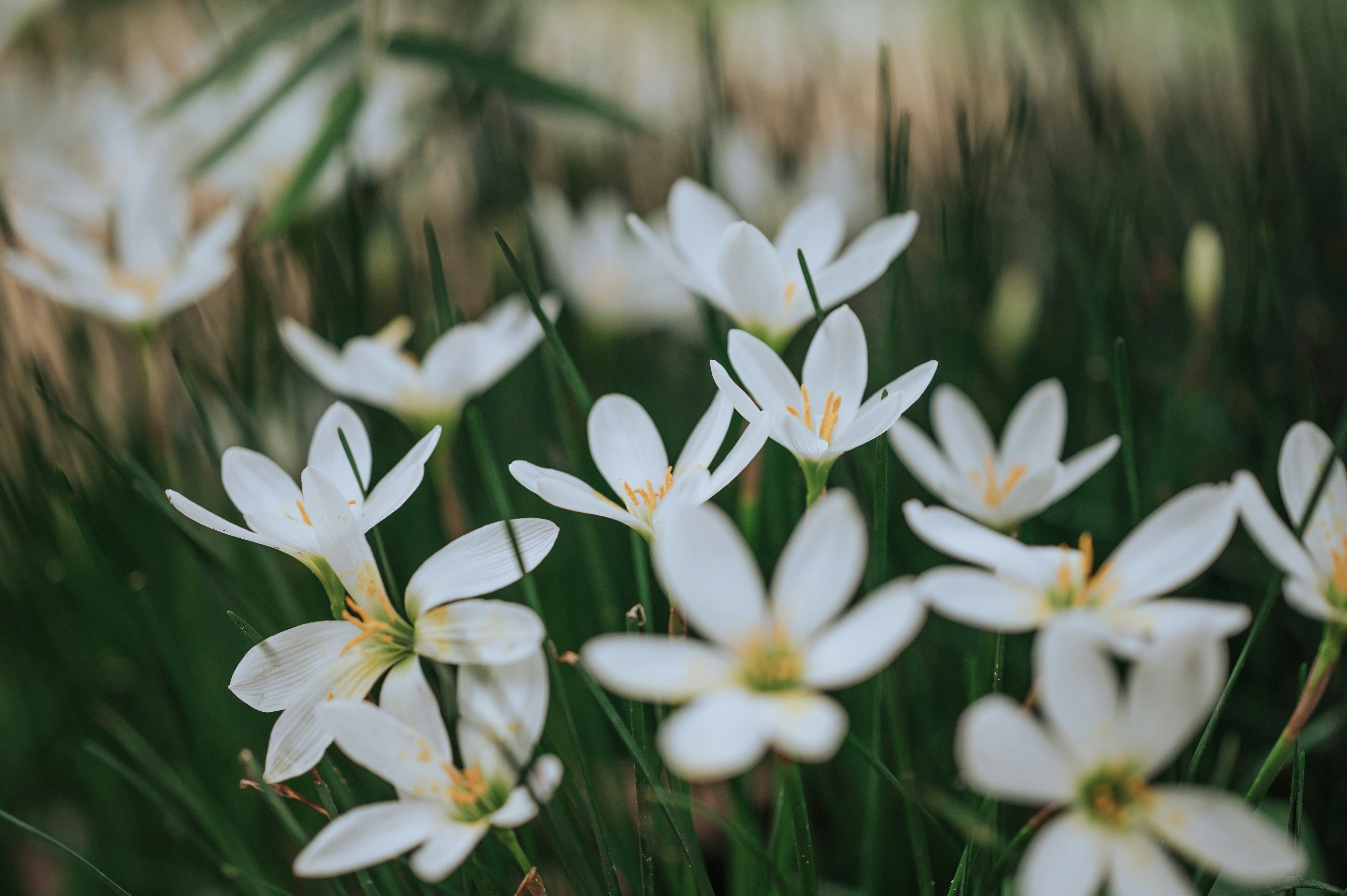 Photo by raghulselvam