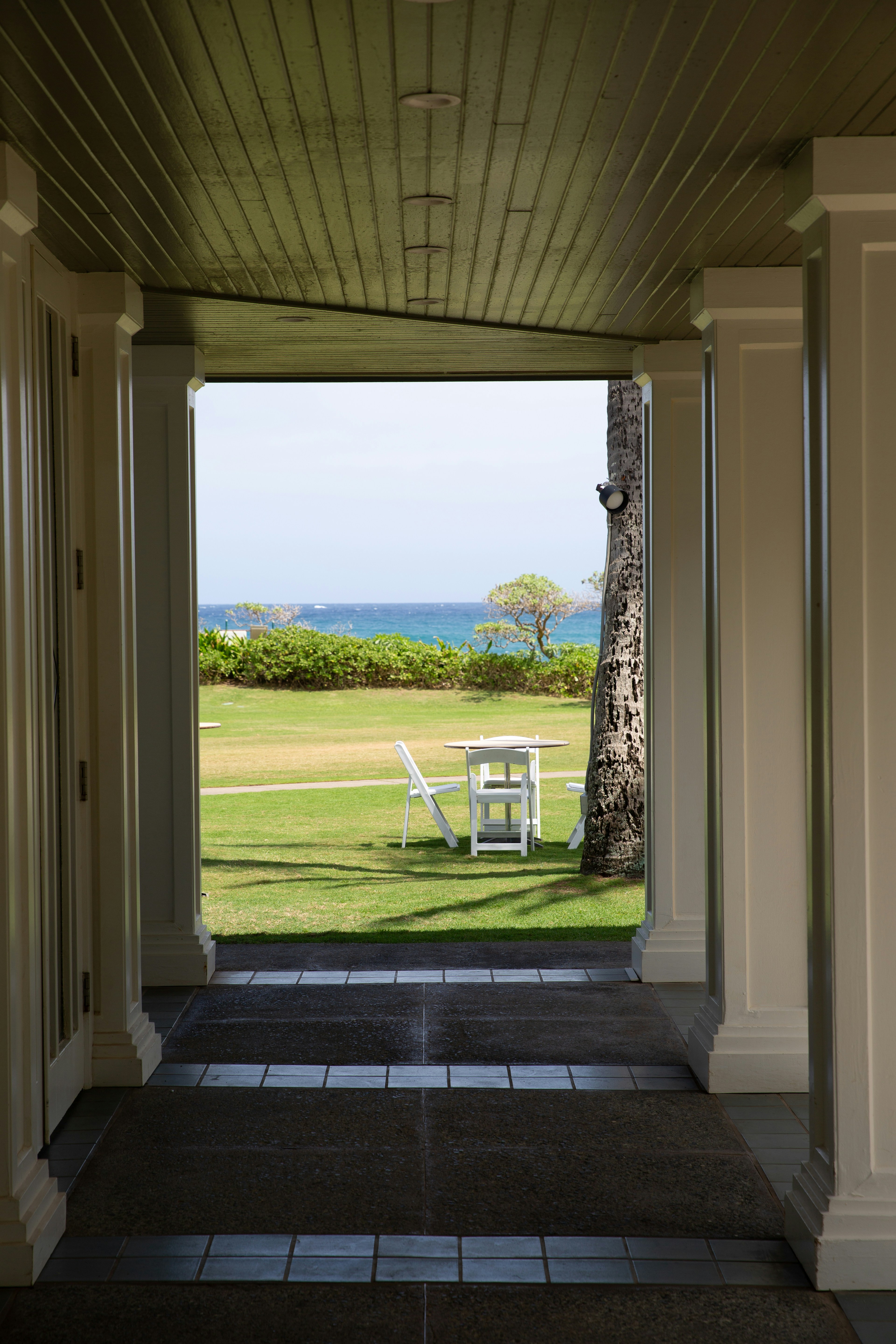 Eine weiße Bank auf einer saftig grünen Wiese