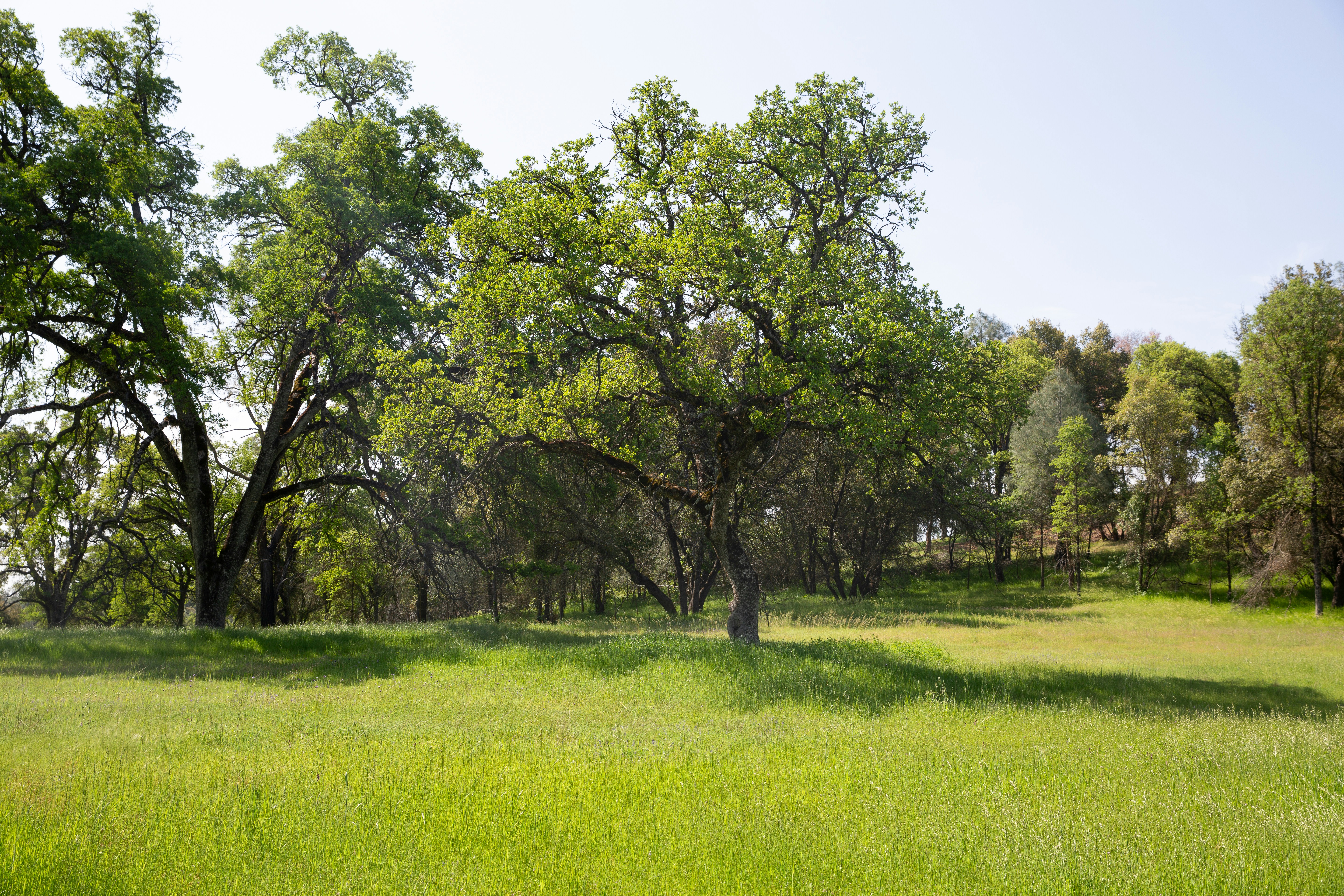 Green Oaks, Illinois