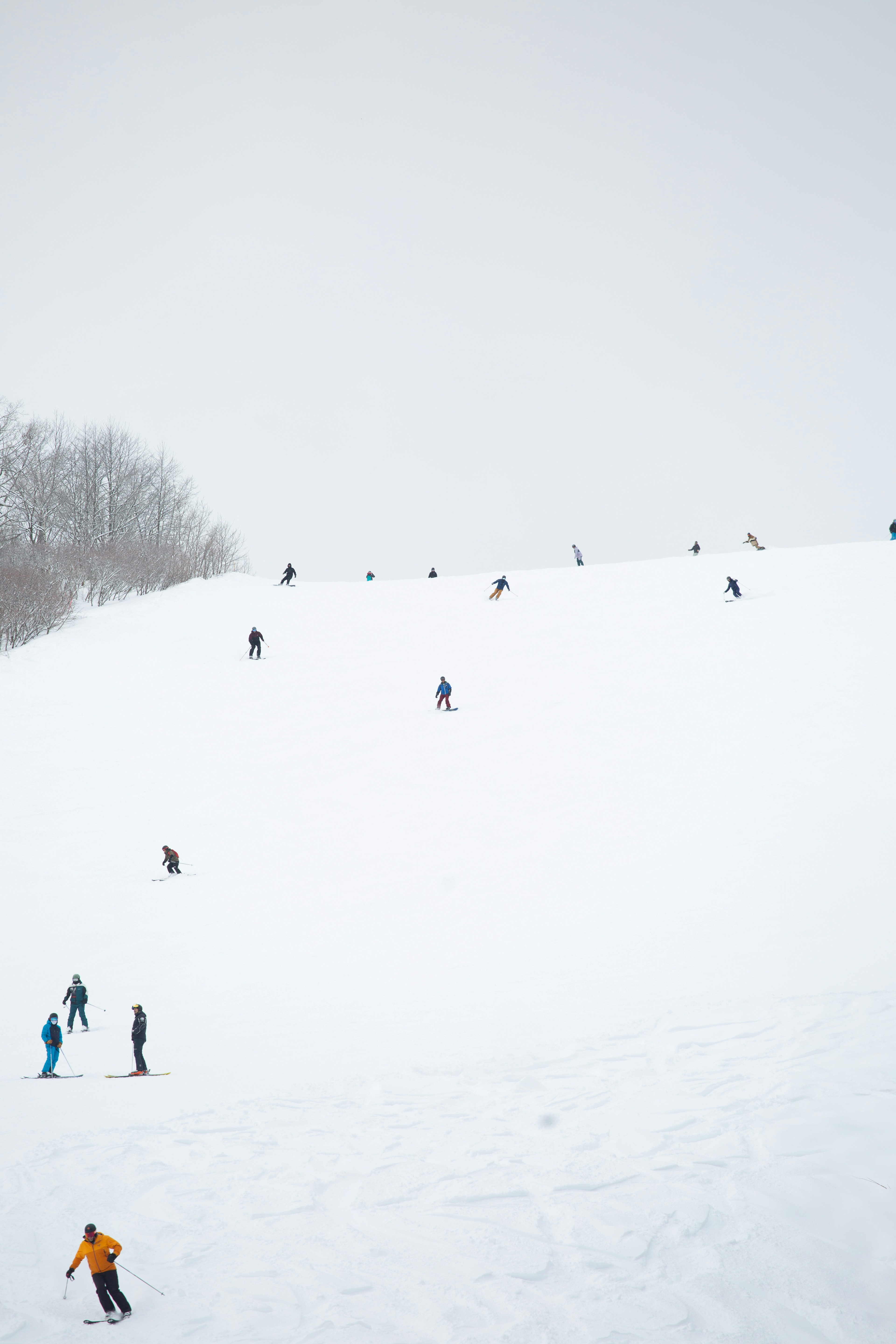 Eine Gruppe von Menschen fährt auf Skiern einen schneebedeckten Hang hinunter
