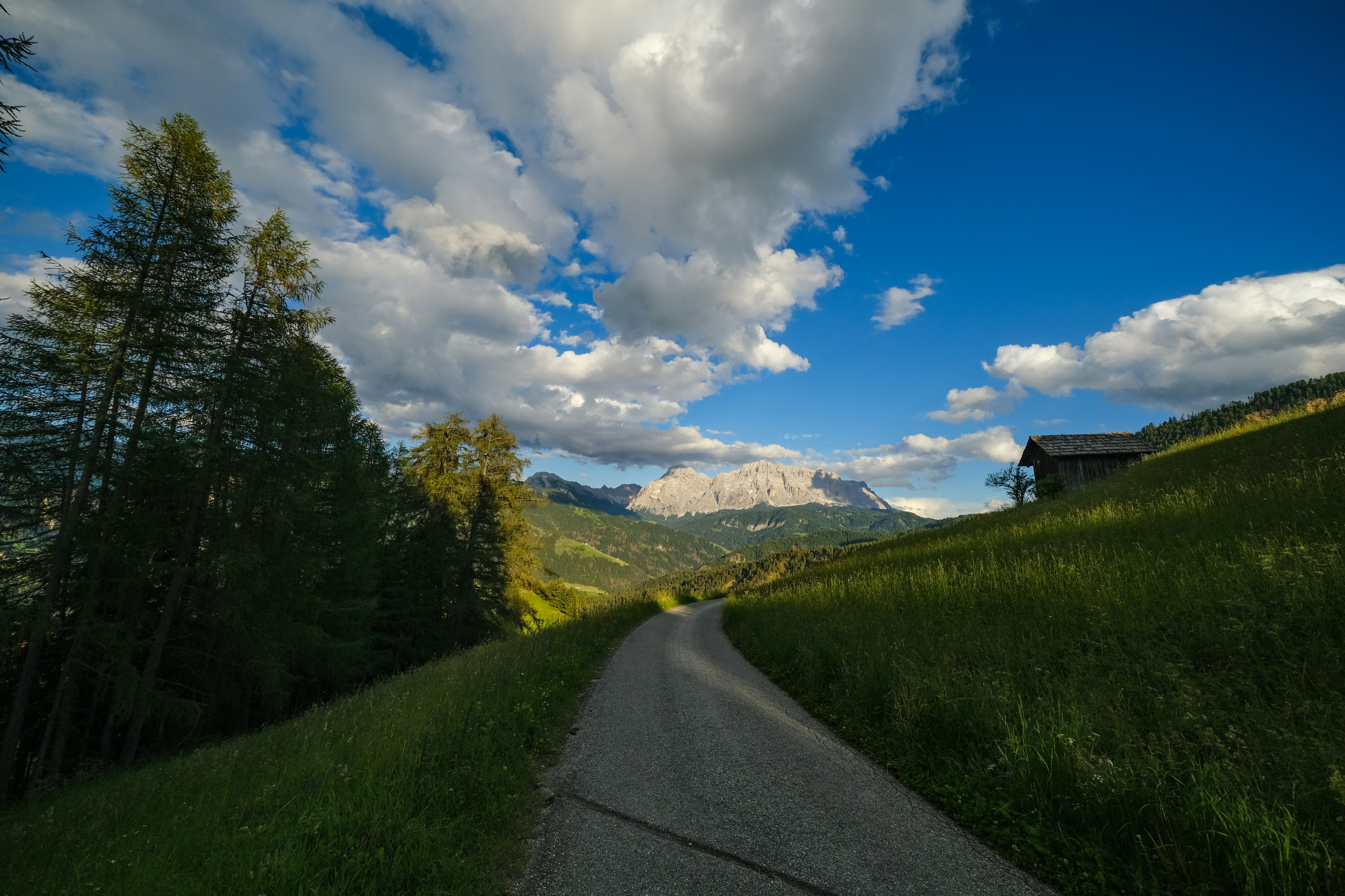 Photo by francesco_ungaro