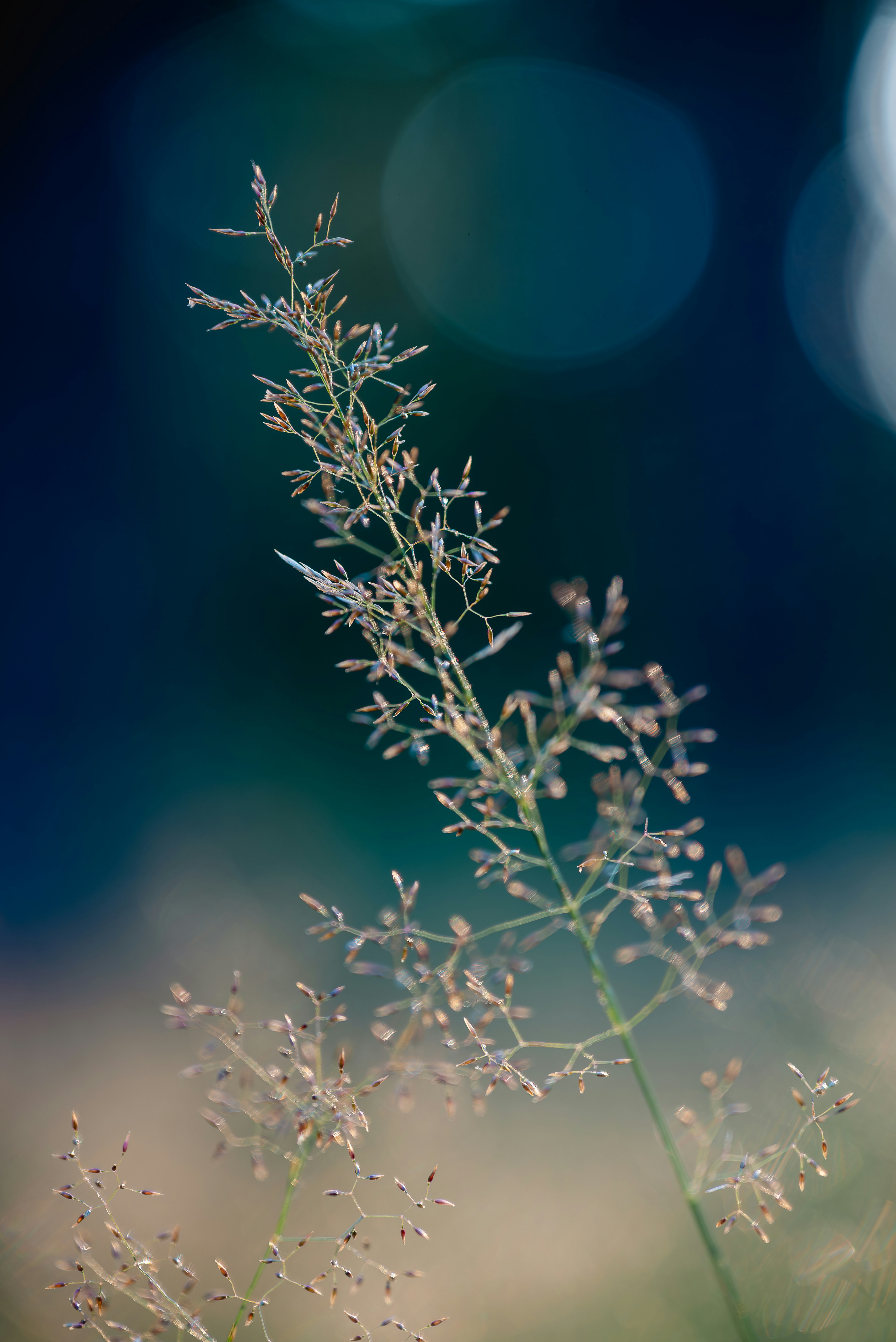 Photo by jetztabertempo