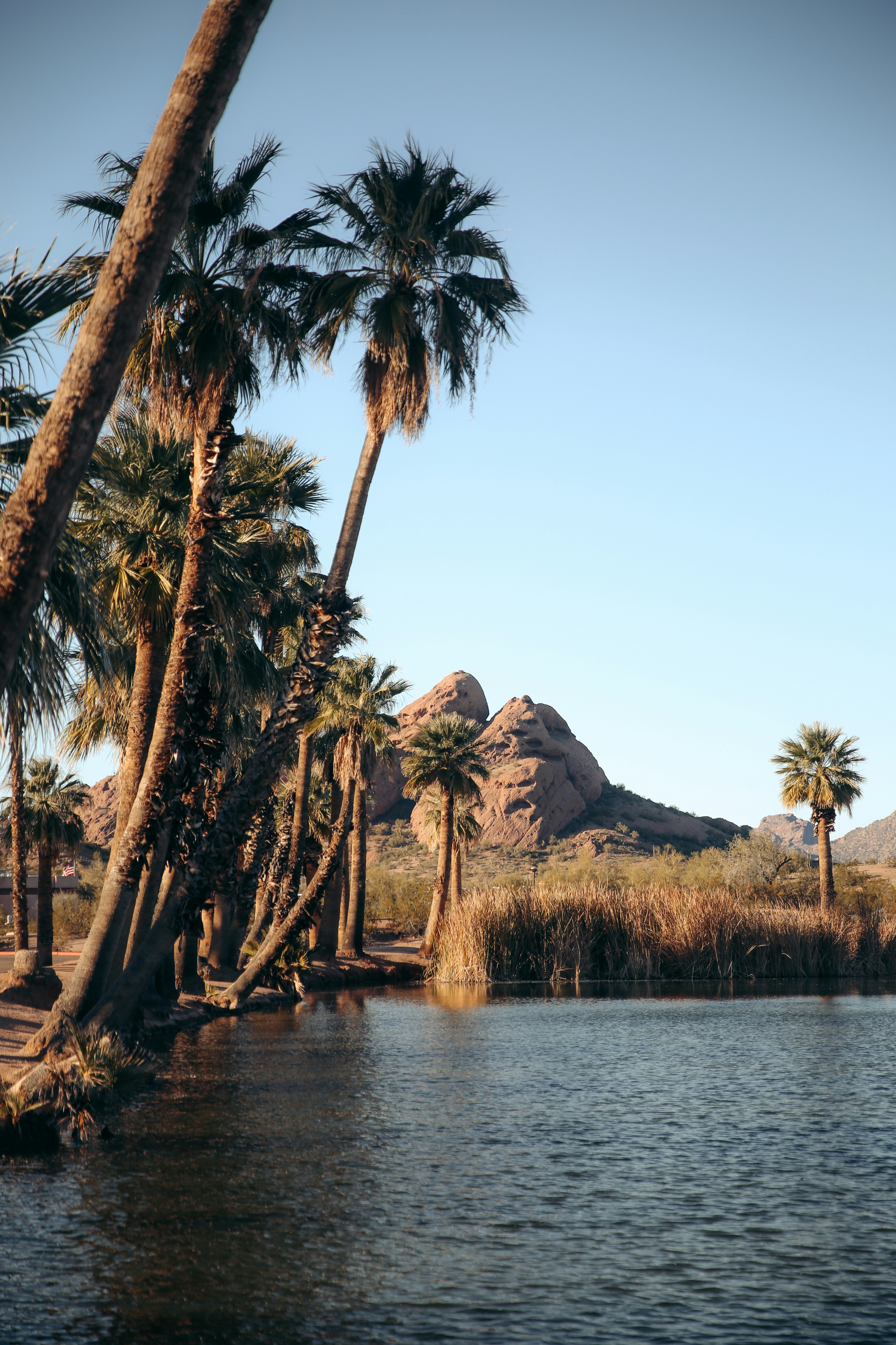 Photo by colt10jordan