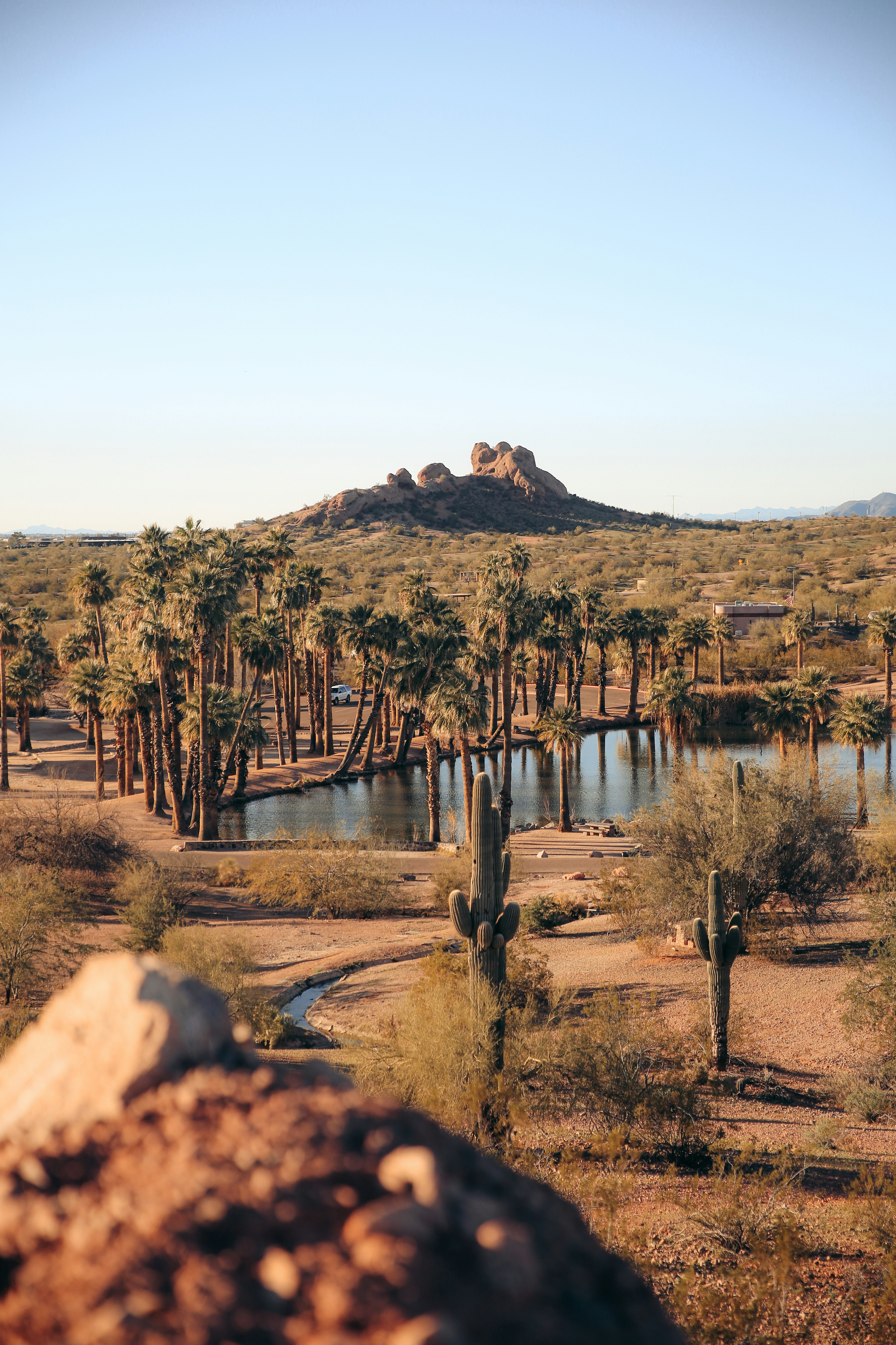 Blick auf einen von Palmen umgebenen See
