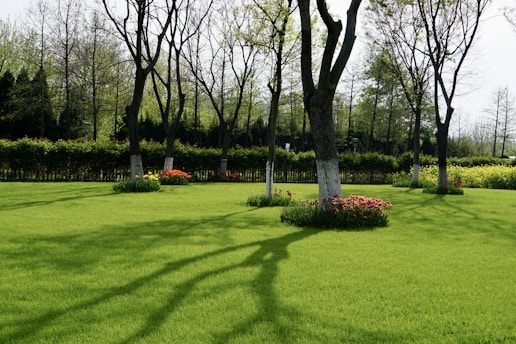 A grassy field with trees and flowers in the background