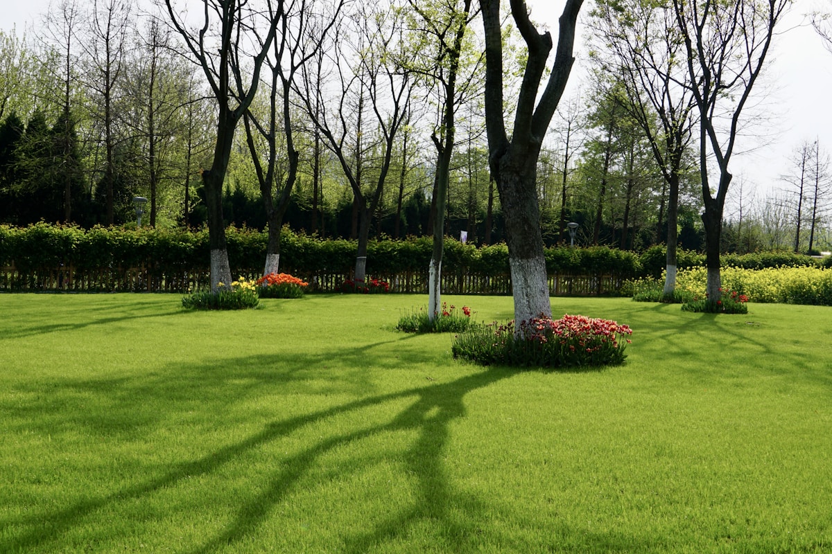 Basic Landscaping image background image