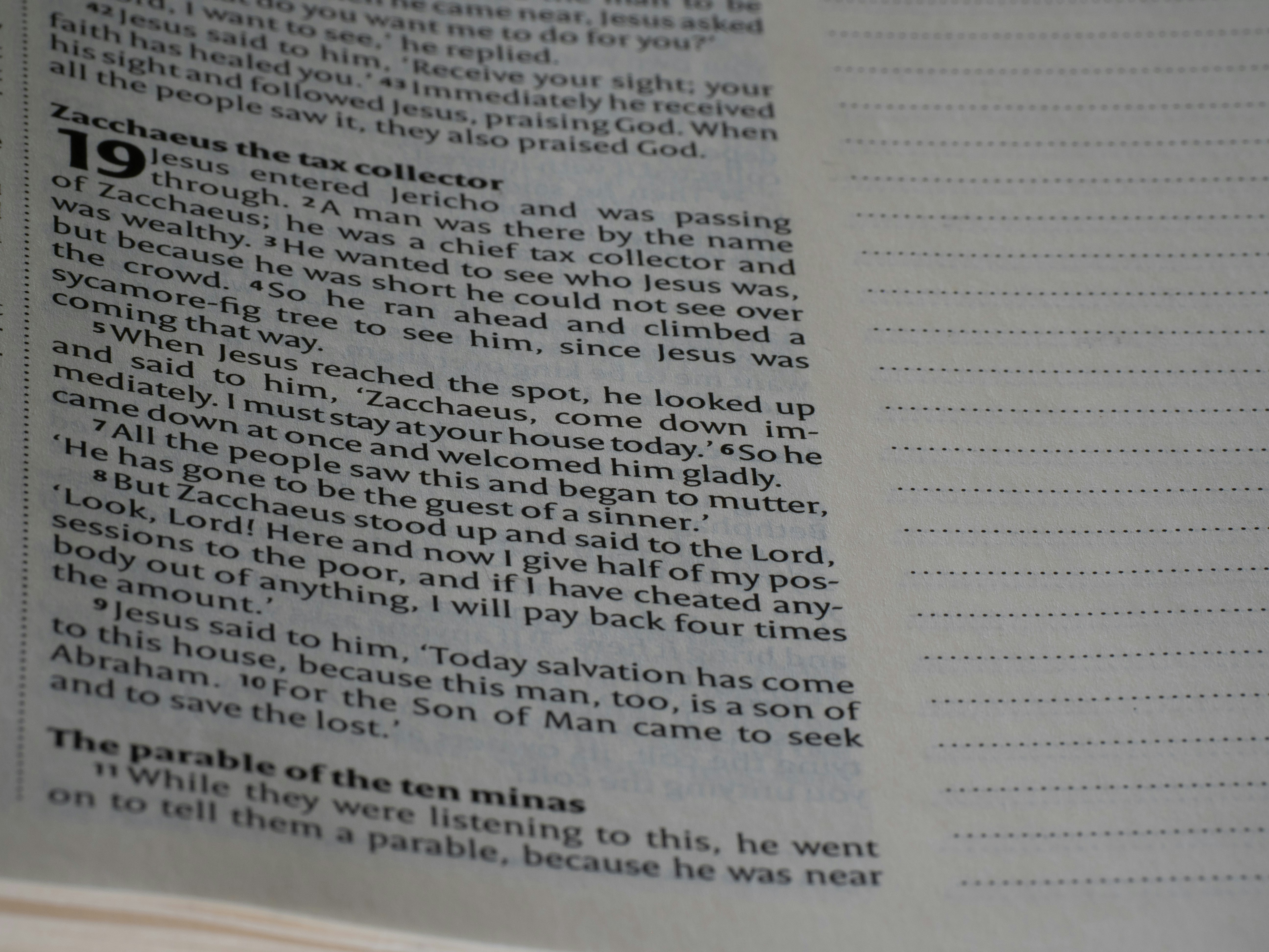 Photo by brett_jordan