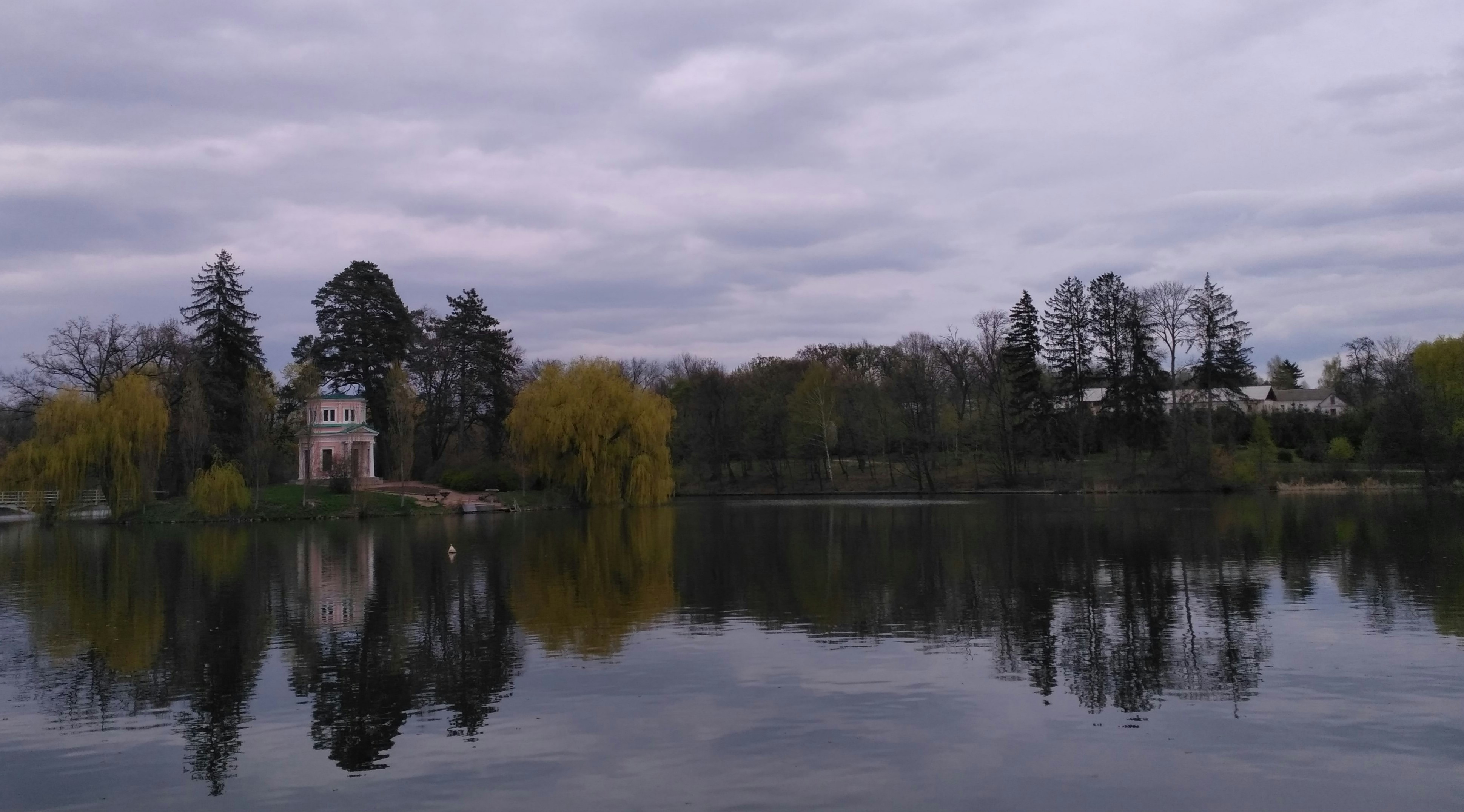 Photo by zlato_vlaska9678