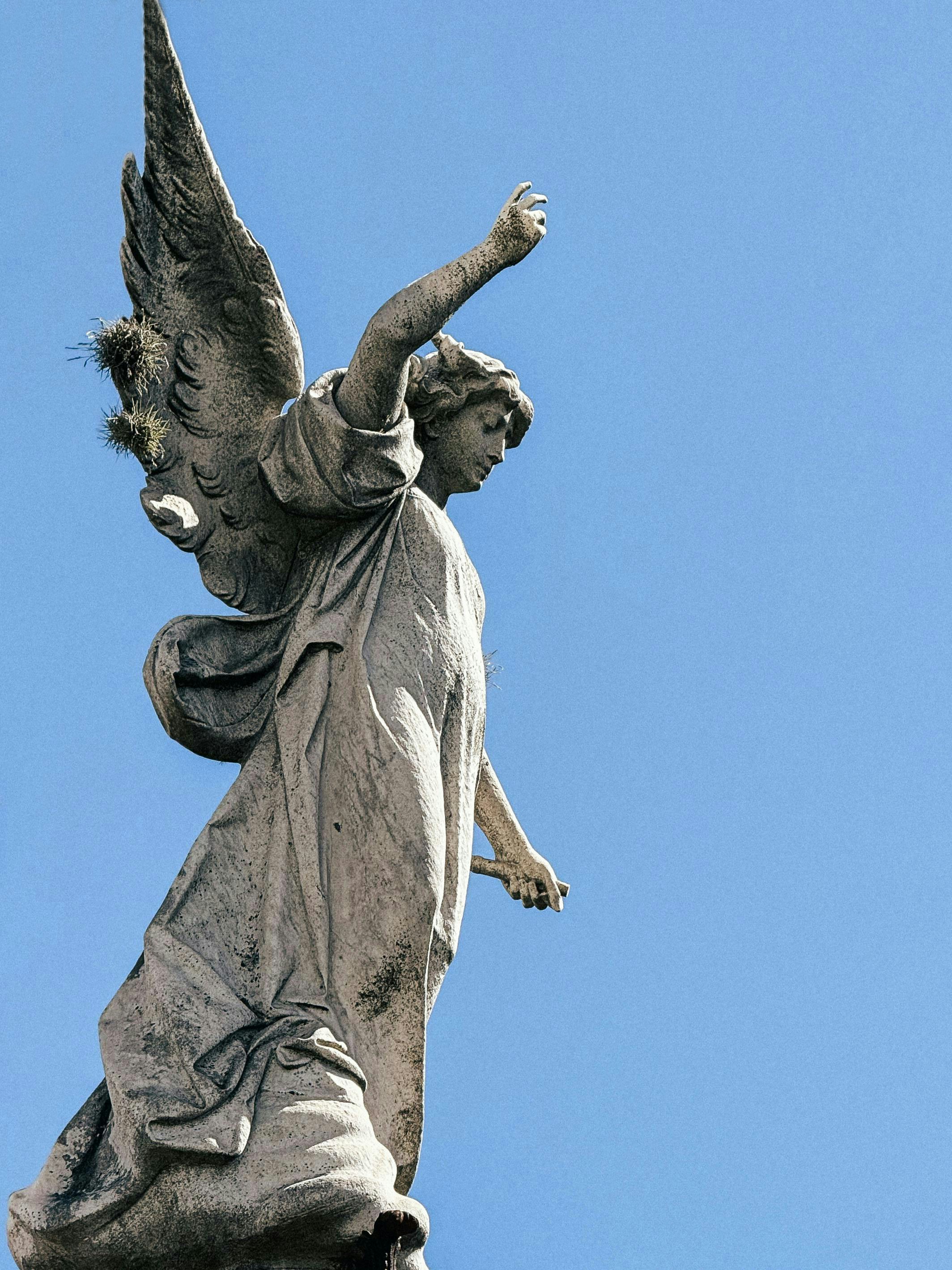 Photo by zvada_photo