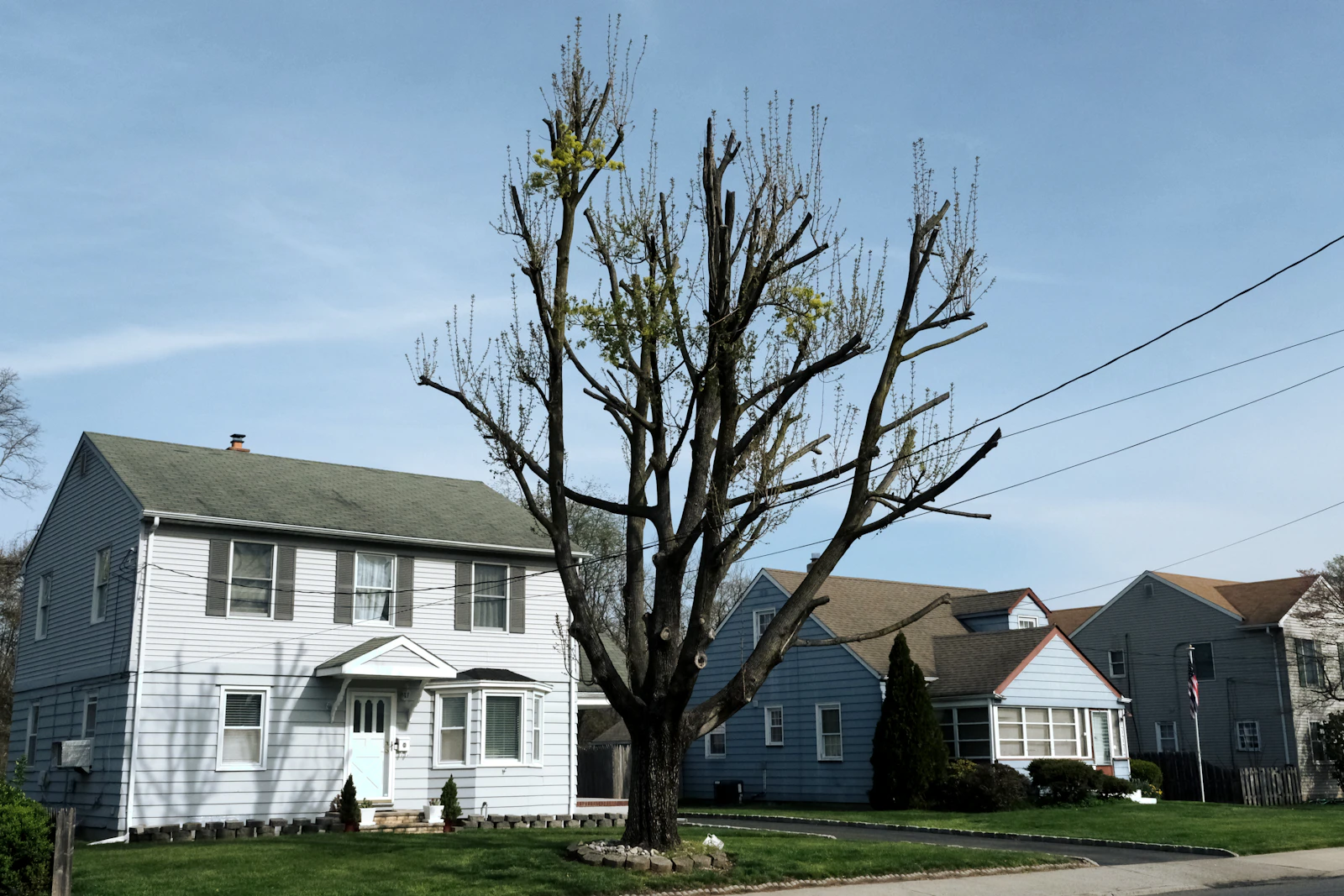 An established home with mature trees around the property