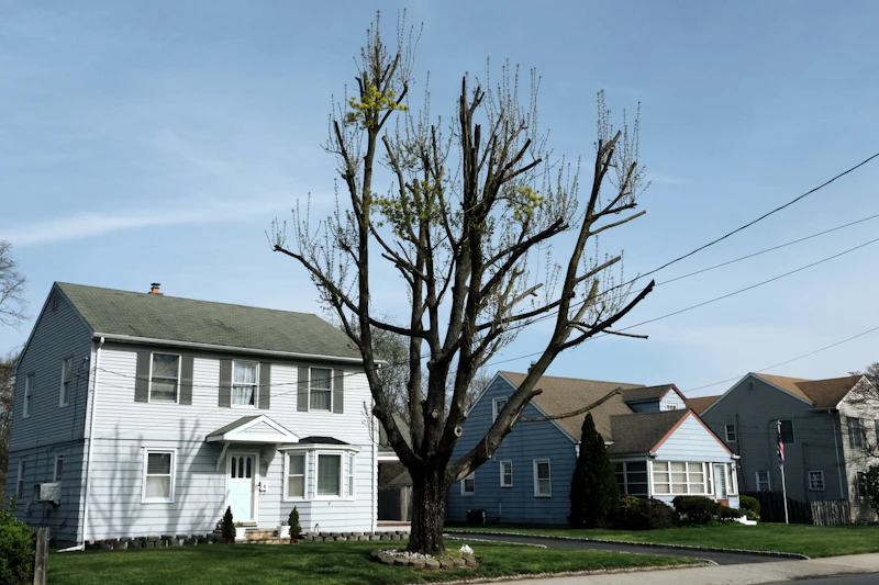 Corner Lot Colonial – Belleville NJ