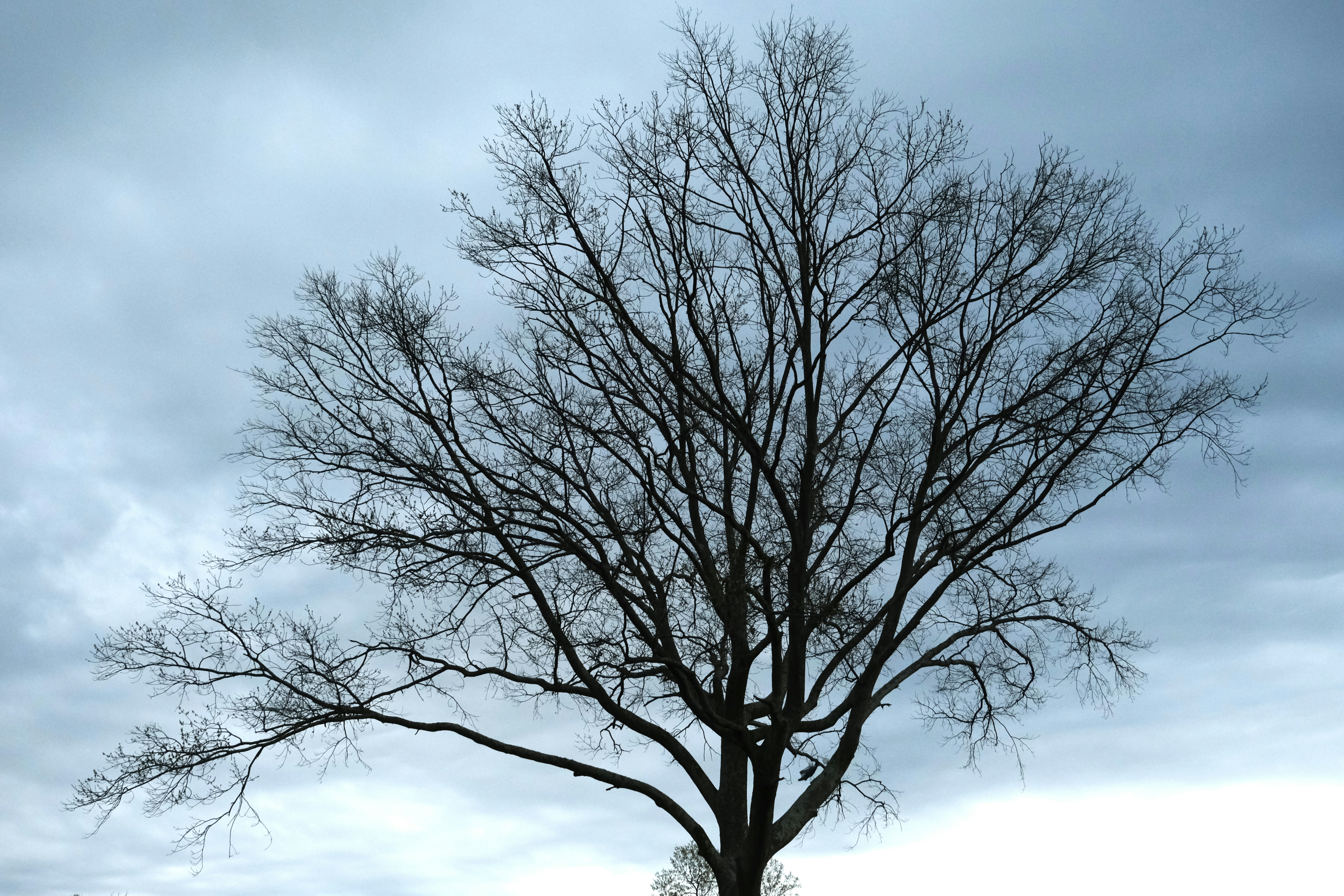 Photo by meditative