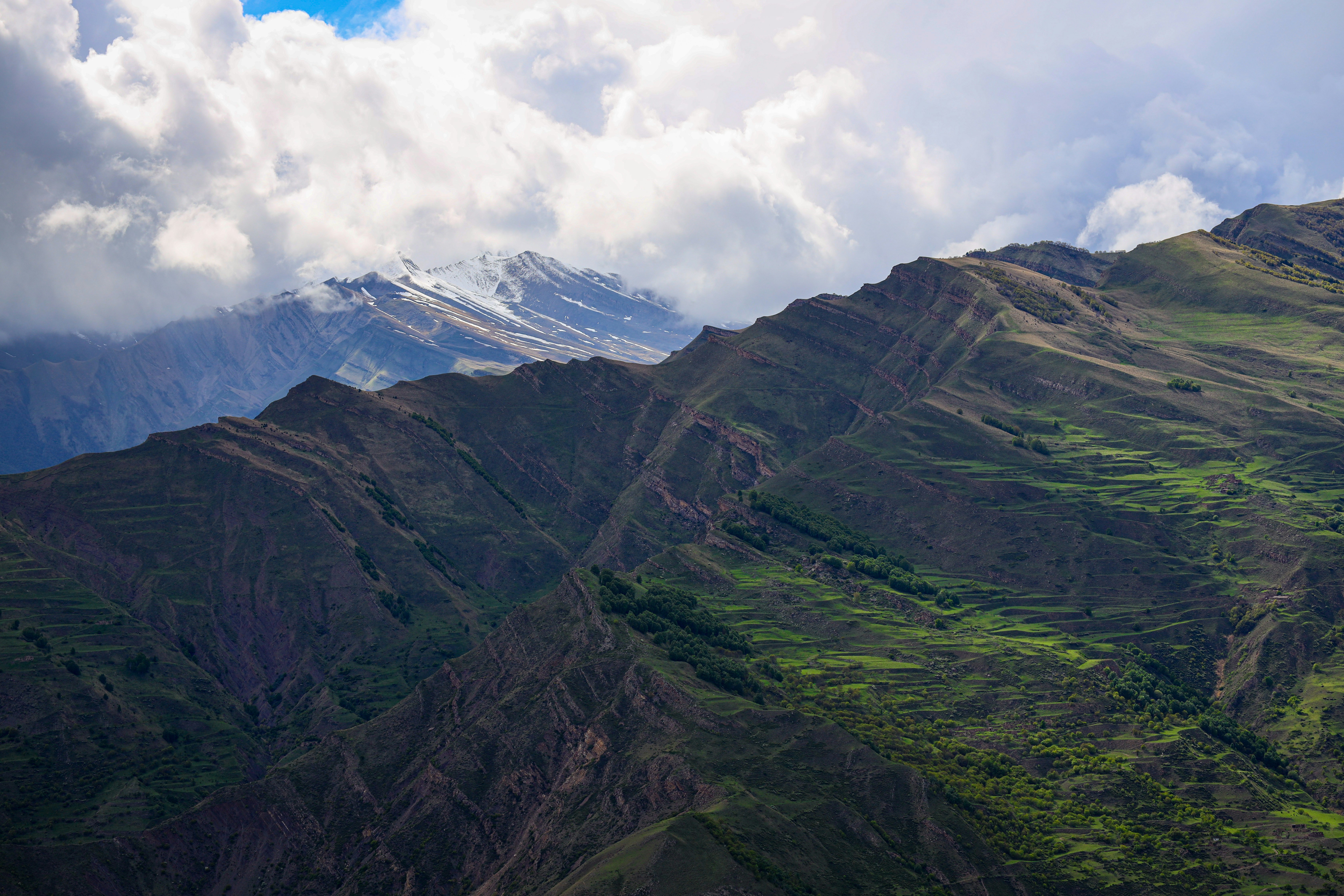 Photo by anastasia_clark