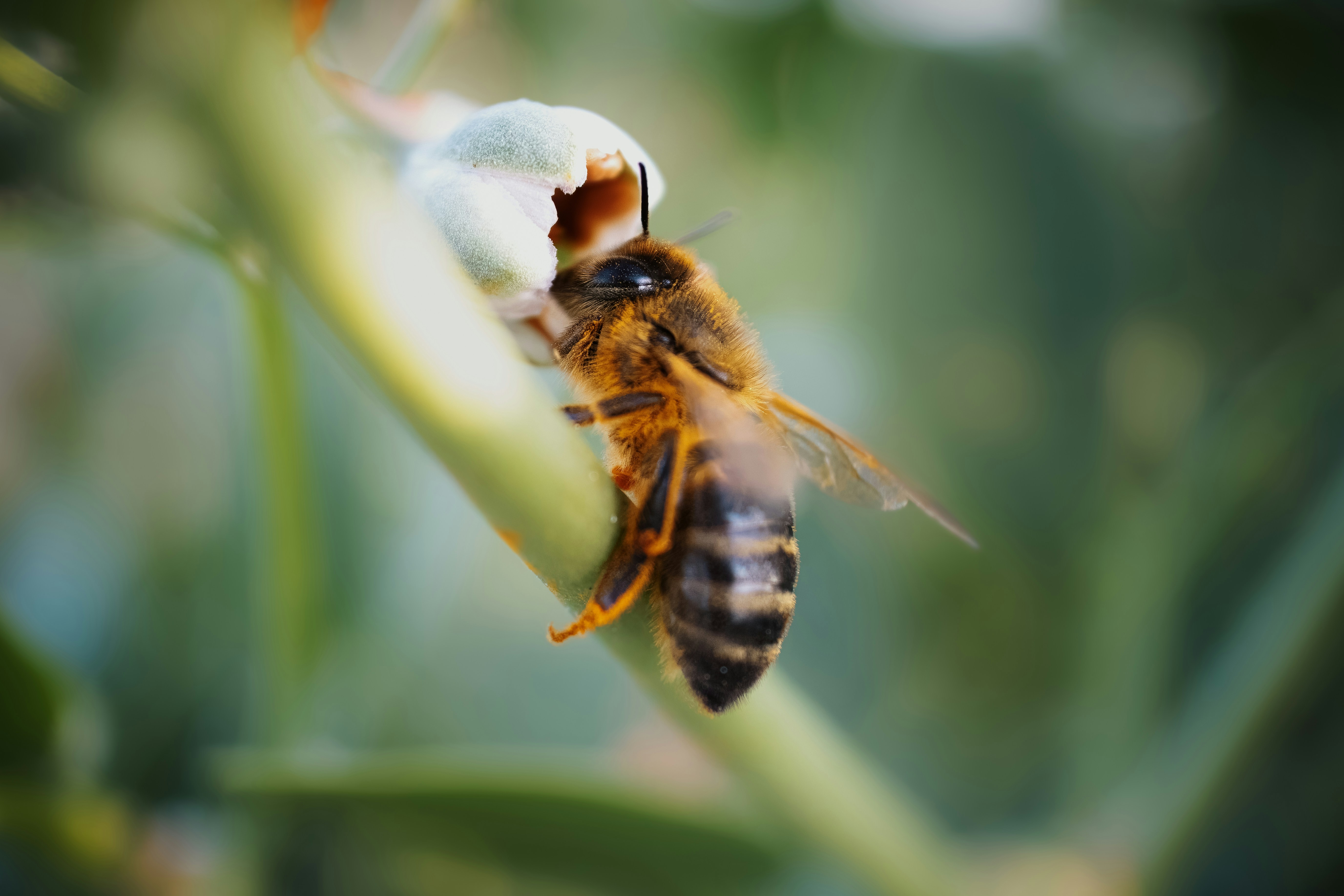 Photo by pedroj_conesa