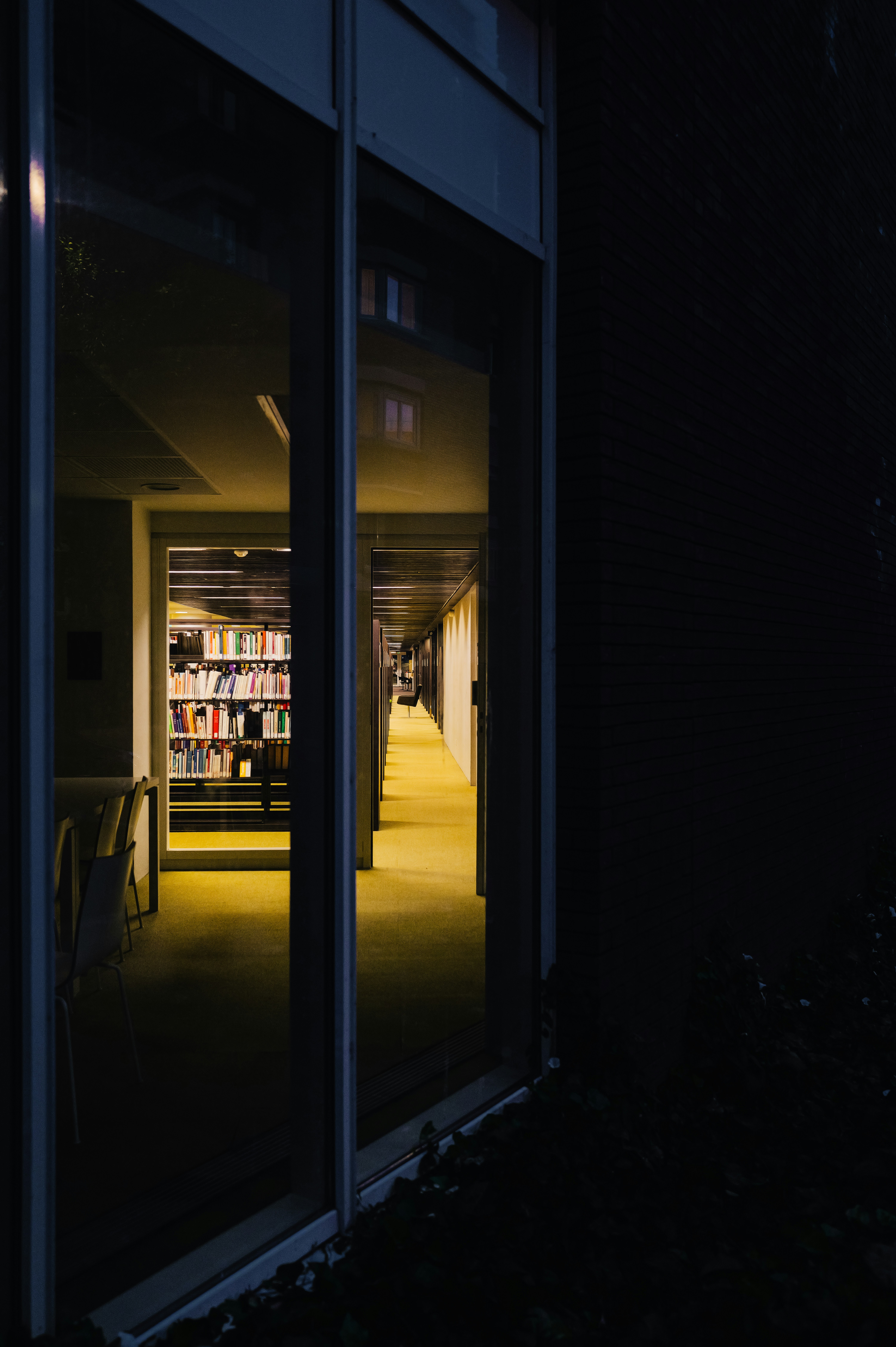 Photo by adrienolichon